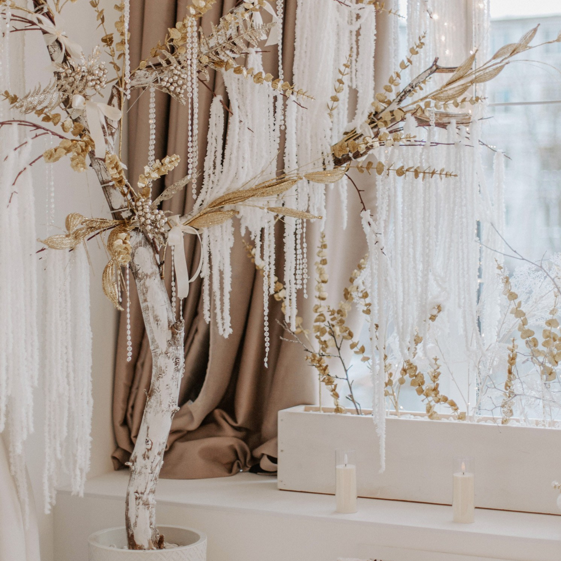 Актуальный интерьер фотостудий Брянска на Ноябрь, Декабрь 2024 и начала Января 2025