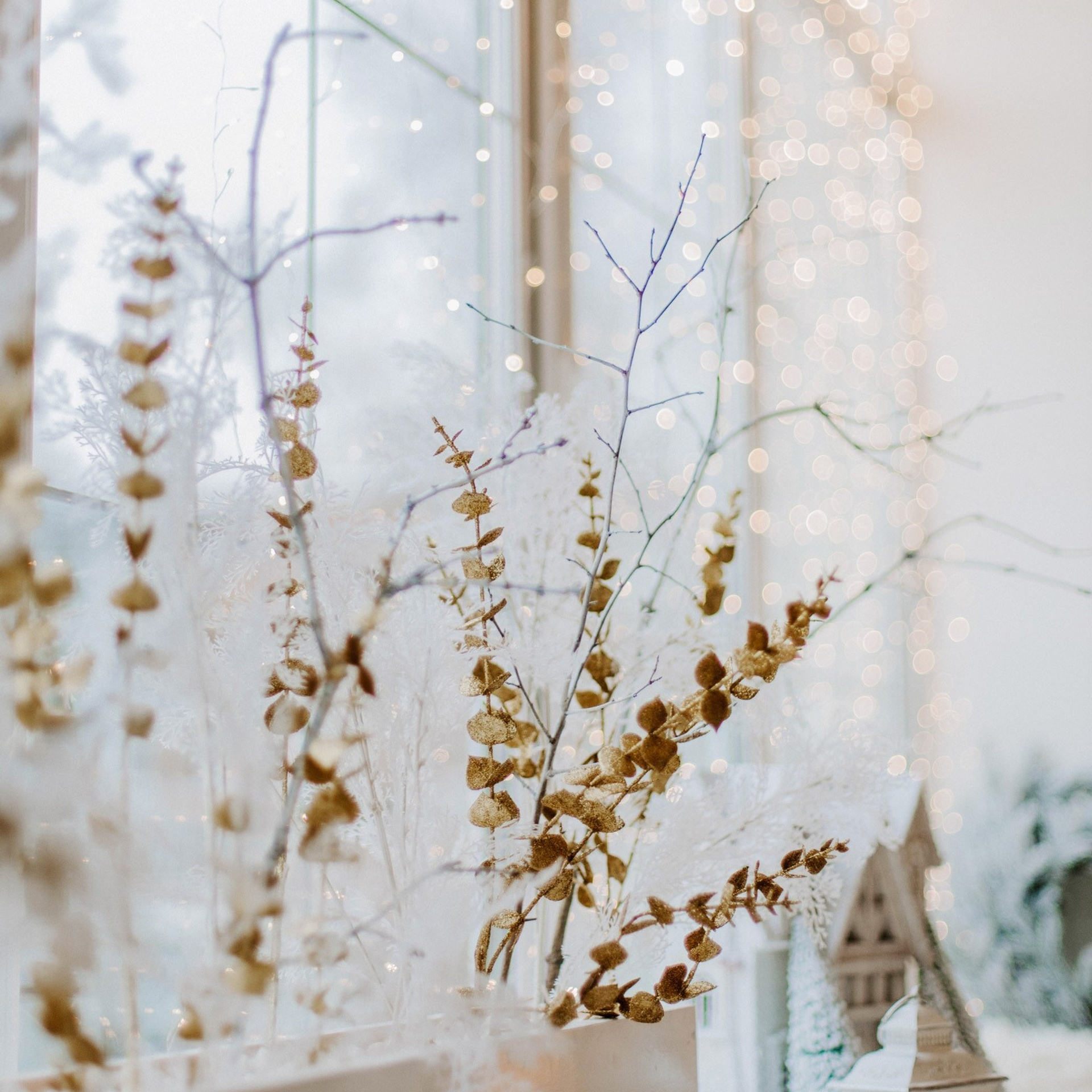 Актуальный интерьер фотостудий Брянска на Ноябрь, Декабрь 2024 и начала Января 2025