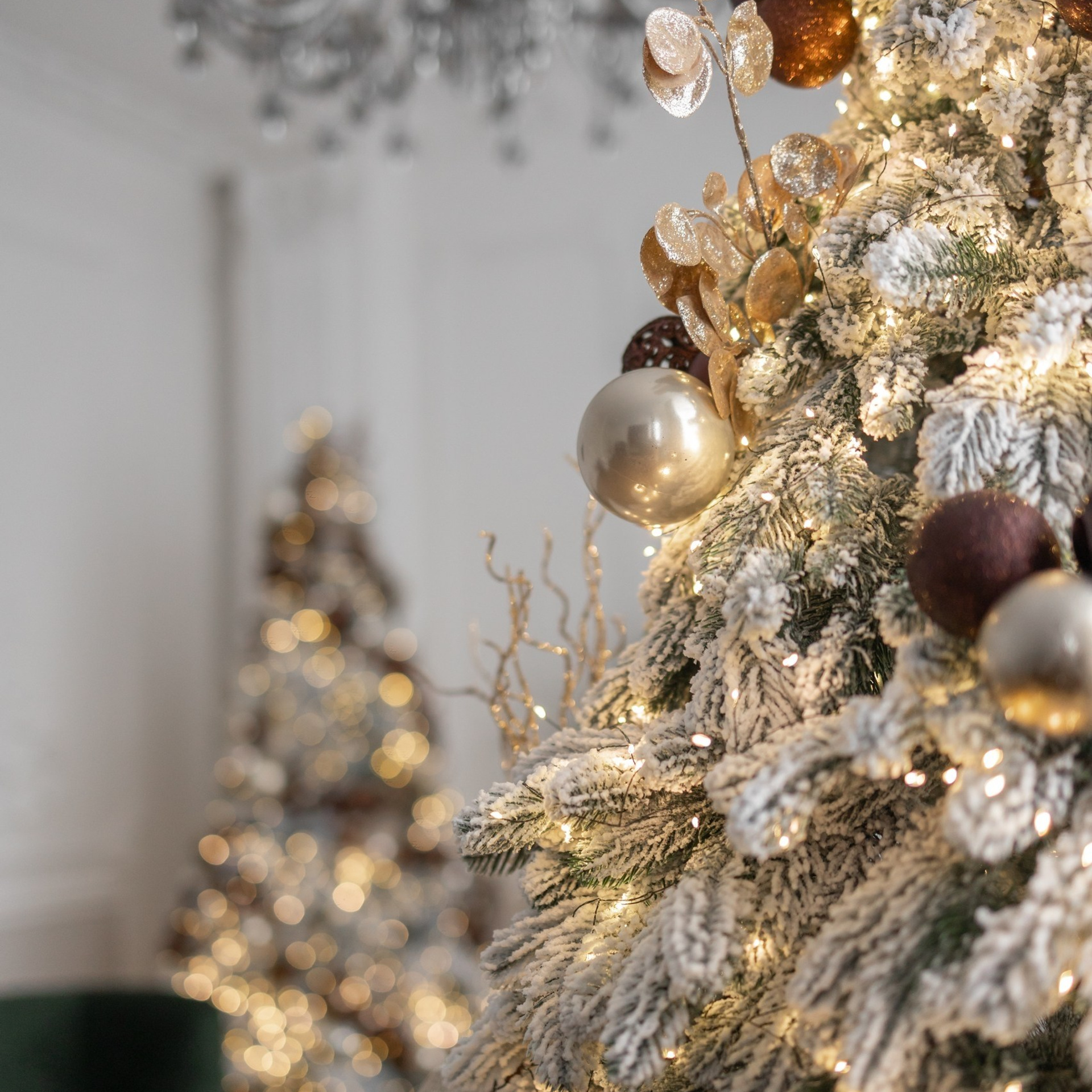 Актуальный интерьер фотостудий Брянска на Ноябрь, Декабрь 2024 и начала Января 2025