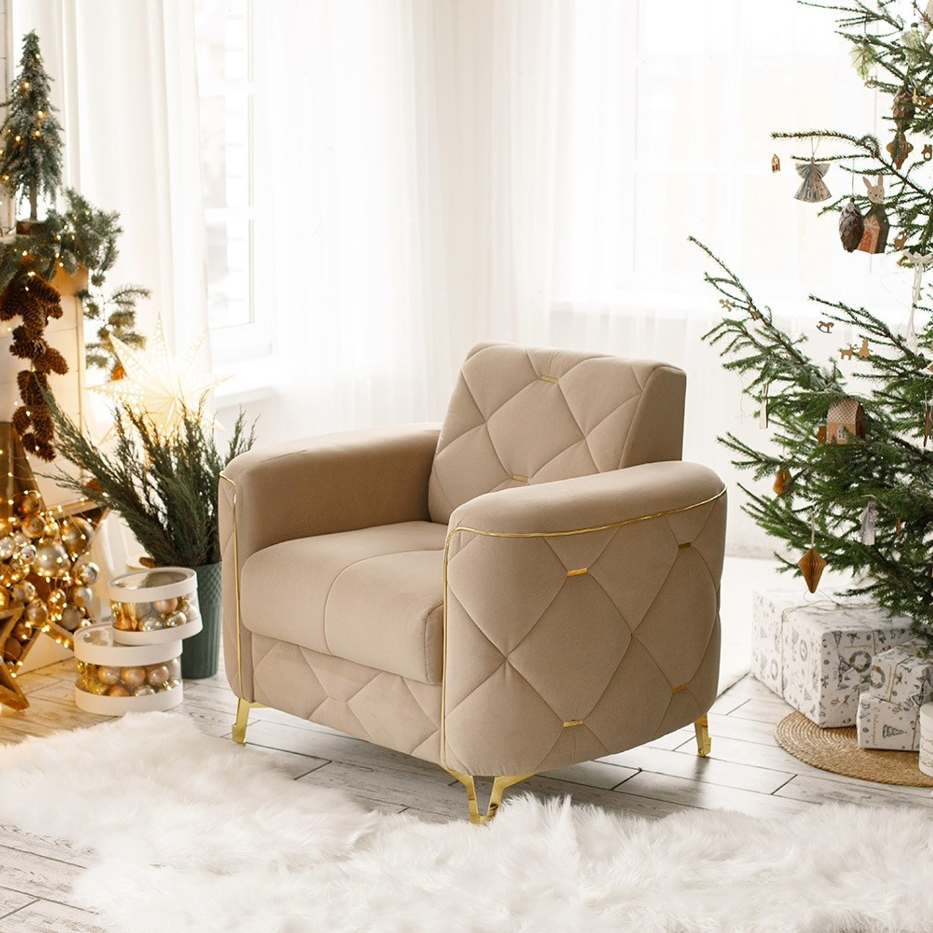 Актуальный интерьер фотостудий Брянска на Ноябрь, Декабрь 2024 и начала Января 2025