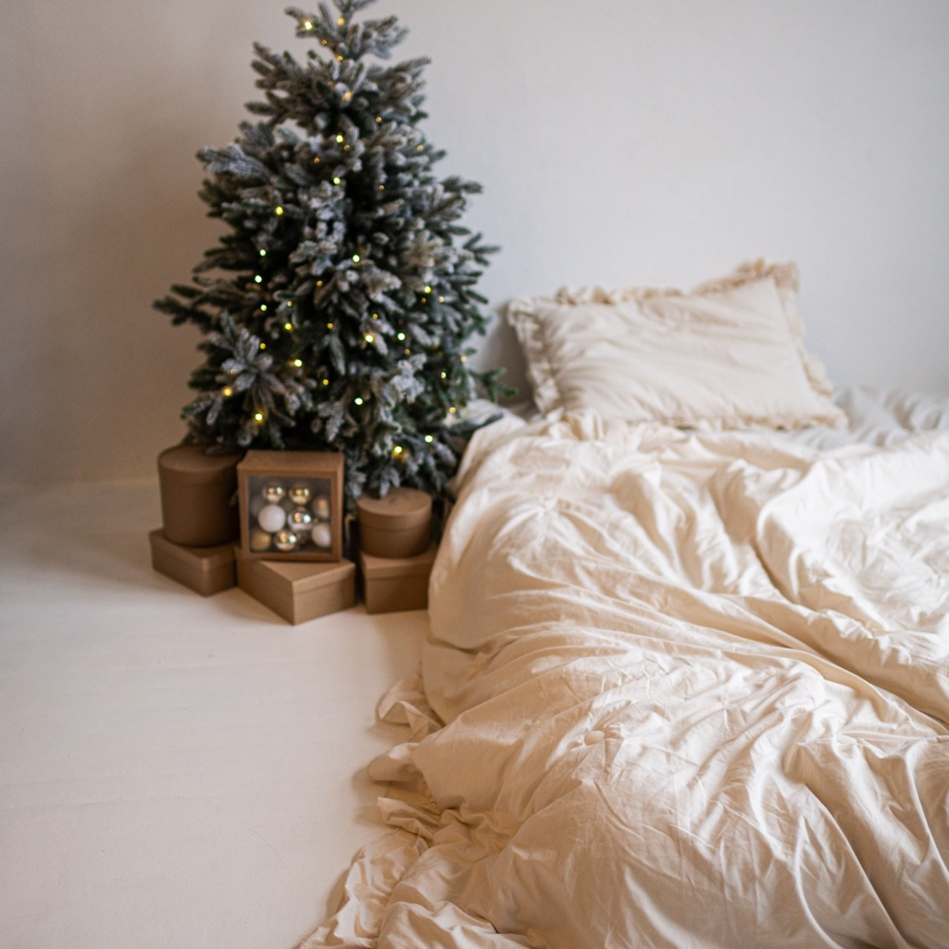 Актуальный интерьер фотостудий Брянска на Ноябрь, Декабрь 2024 и начала Января 2025