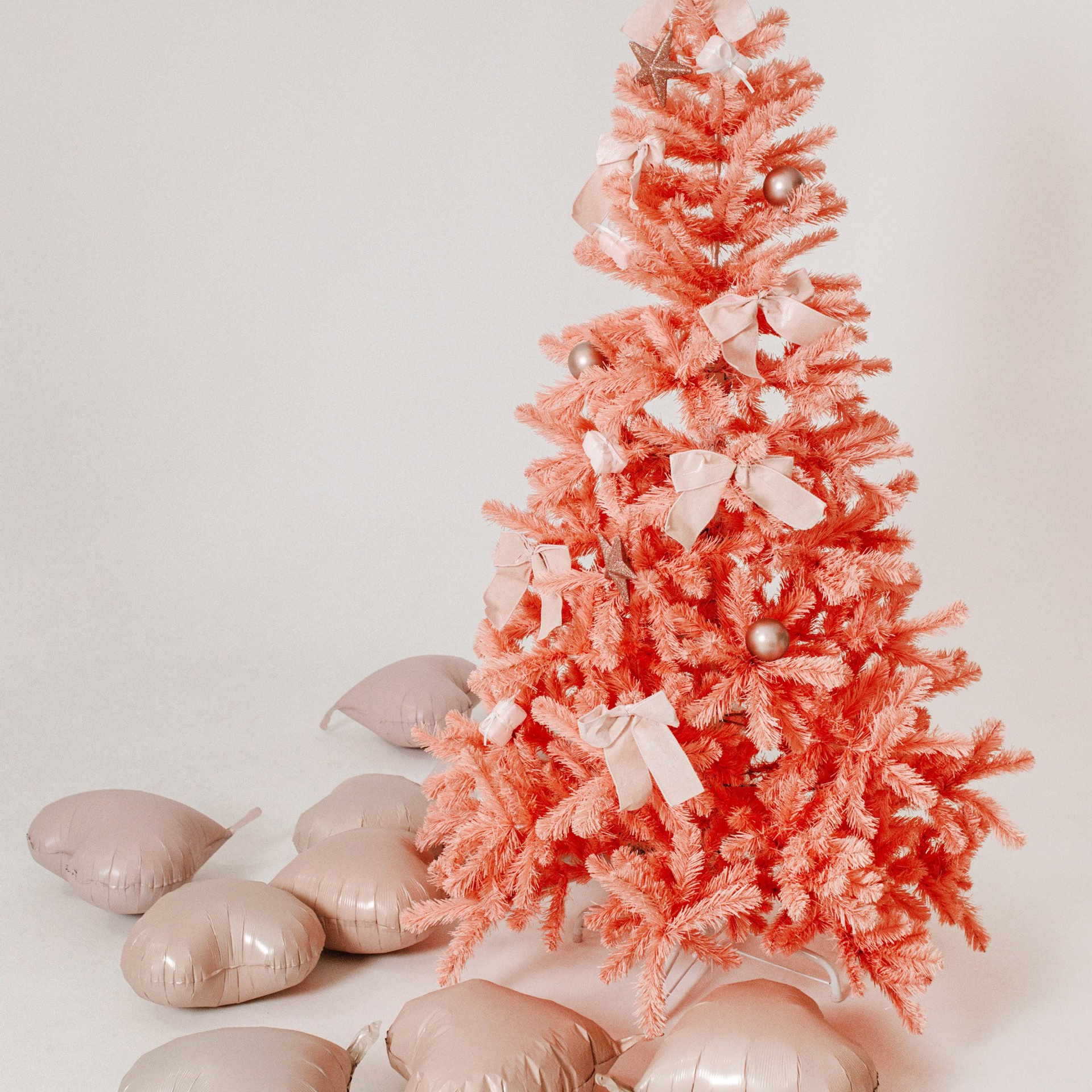 Актуальный интерьер фотостудий Брянска на Ноябрь, Декабрь 2024 и начала Января 2025