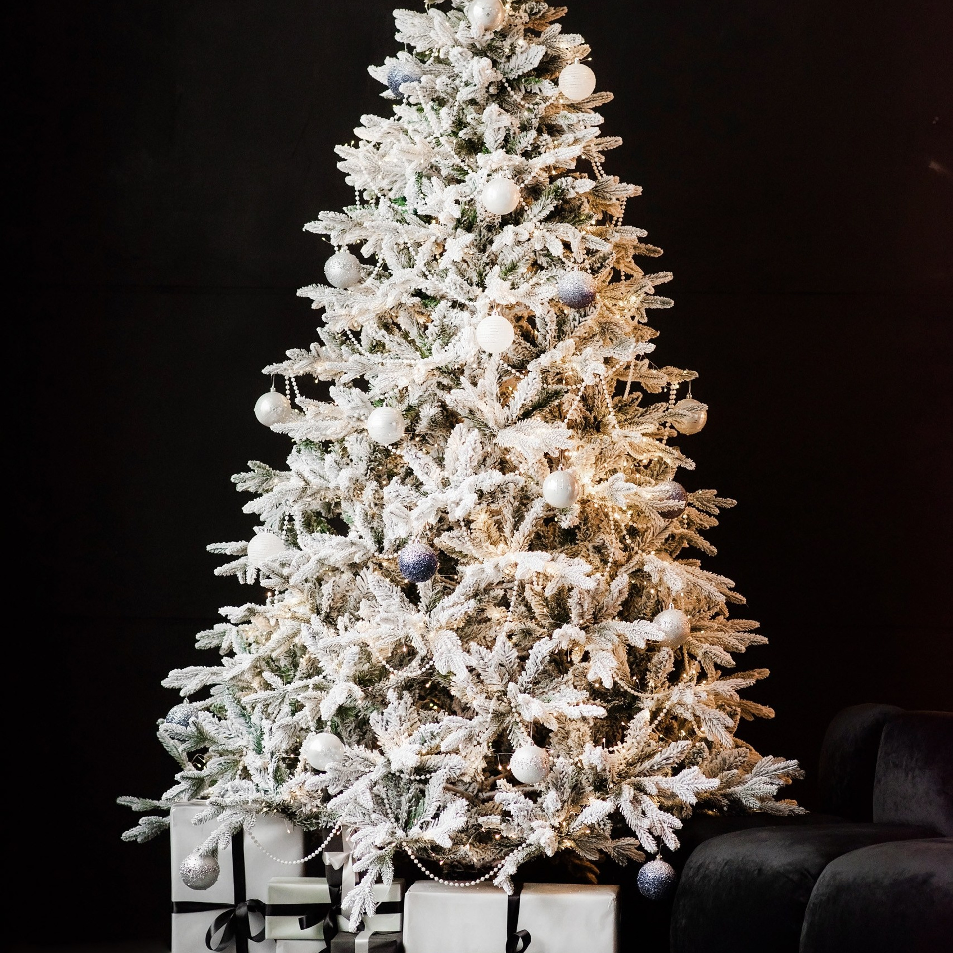 Актуальный интерьер фотостудий Брянска на Ноябрь, Декабрь 2024 и начала Января 2025