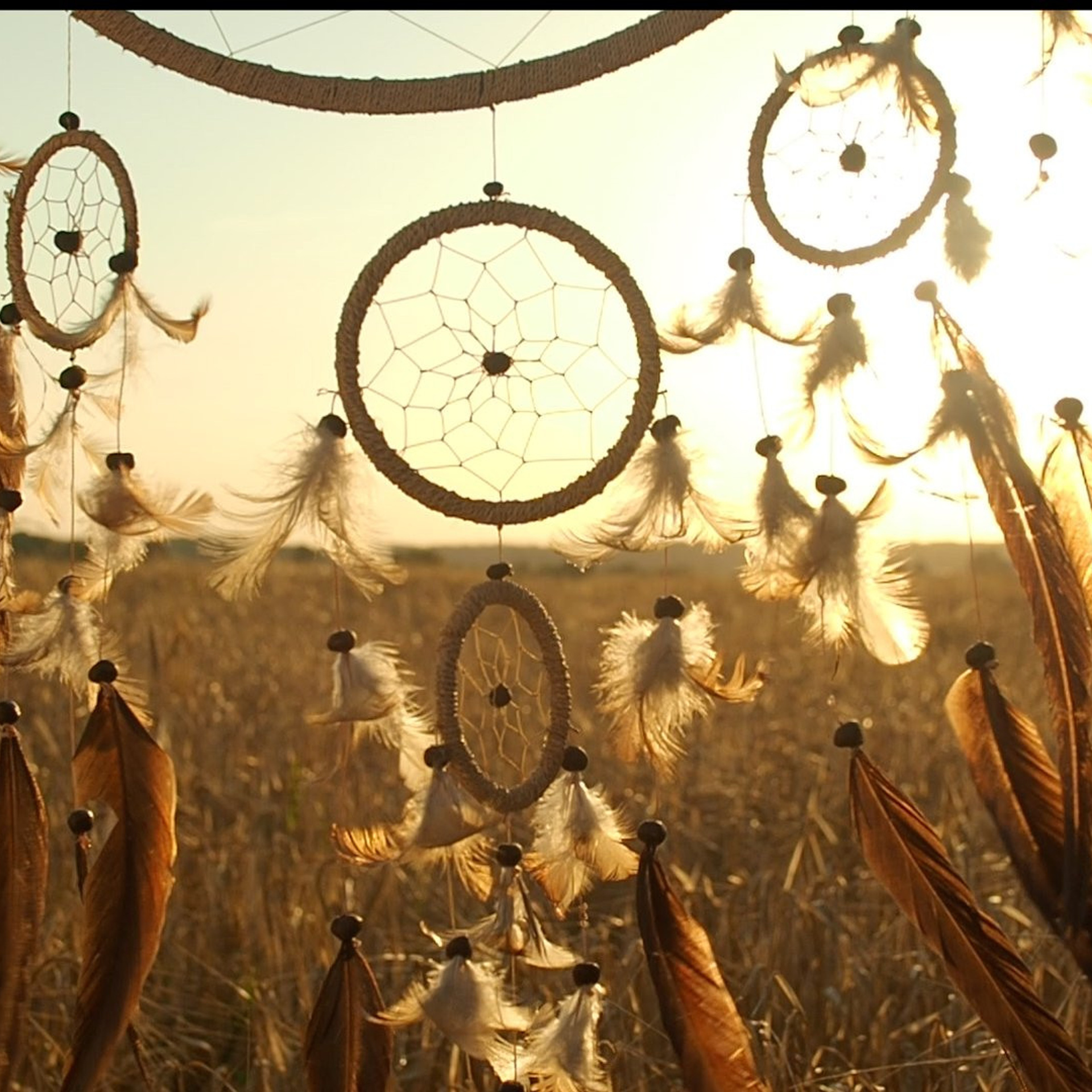 Семейный видеограф в Москве Элина Ладова