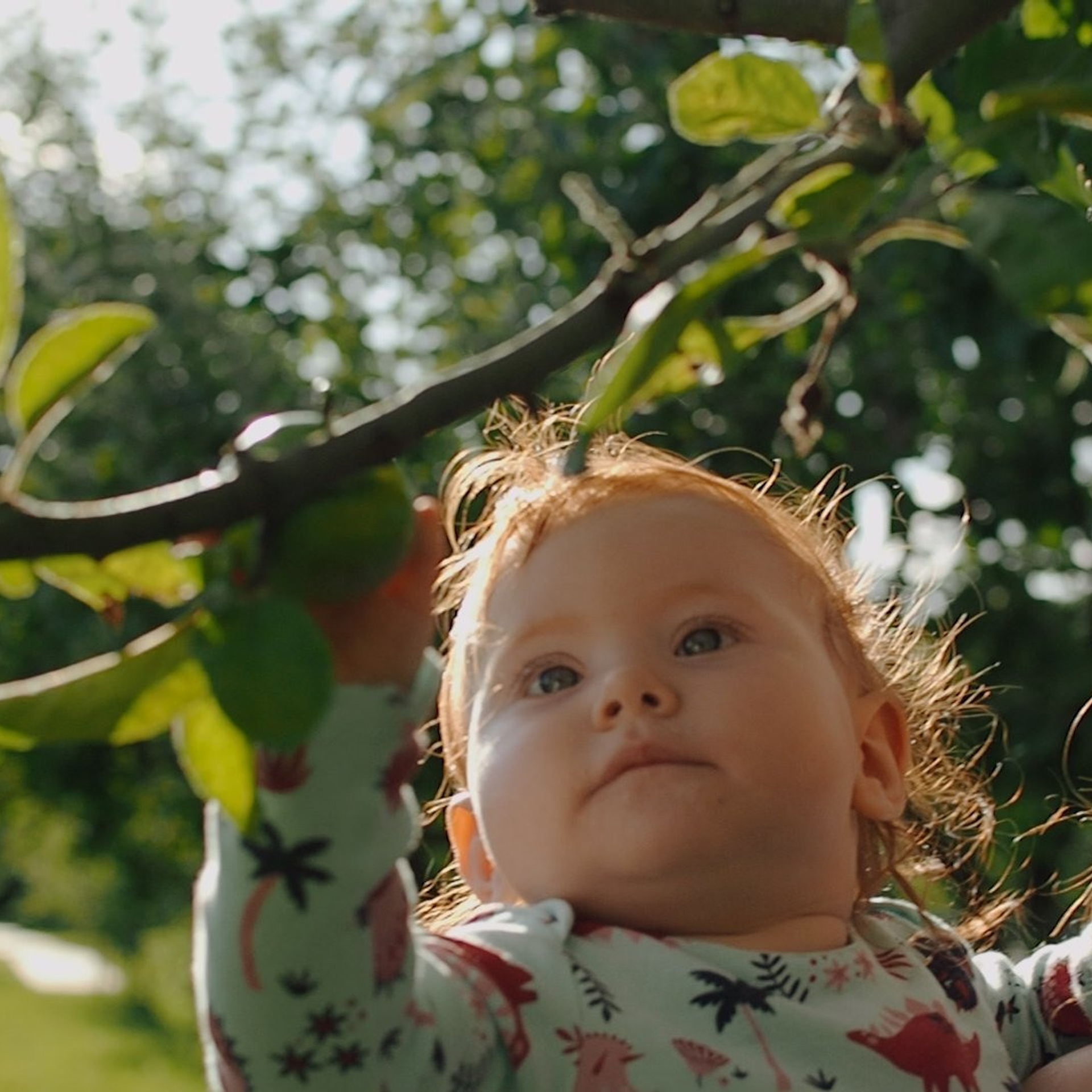 Семейный видеограф в Москве Элина Ладова