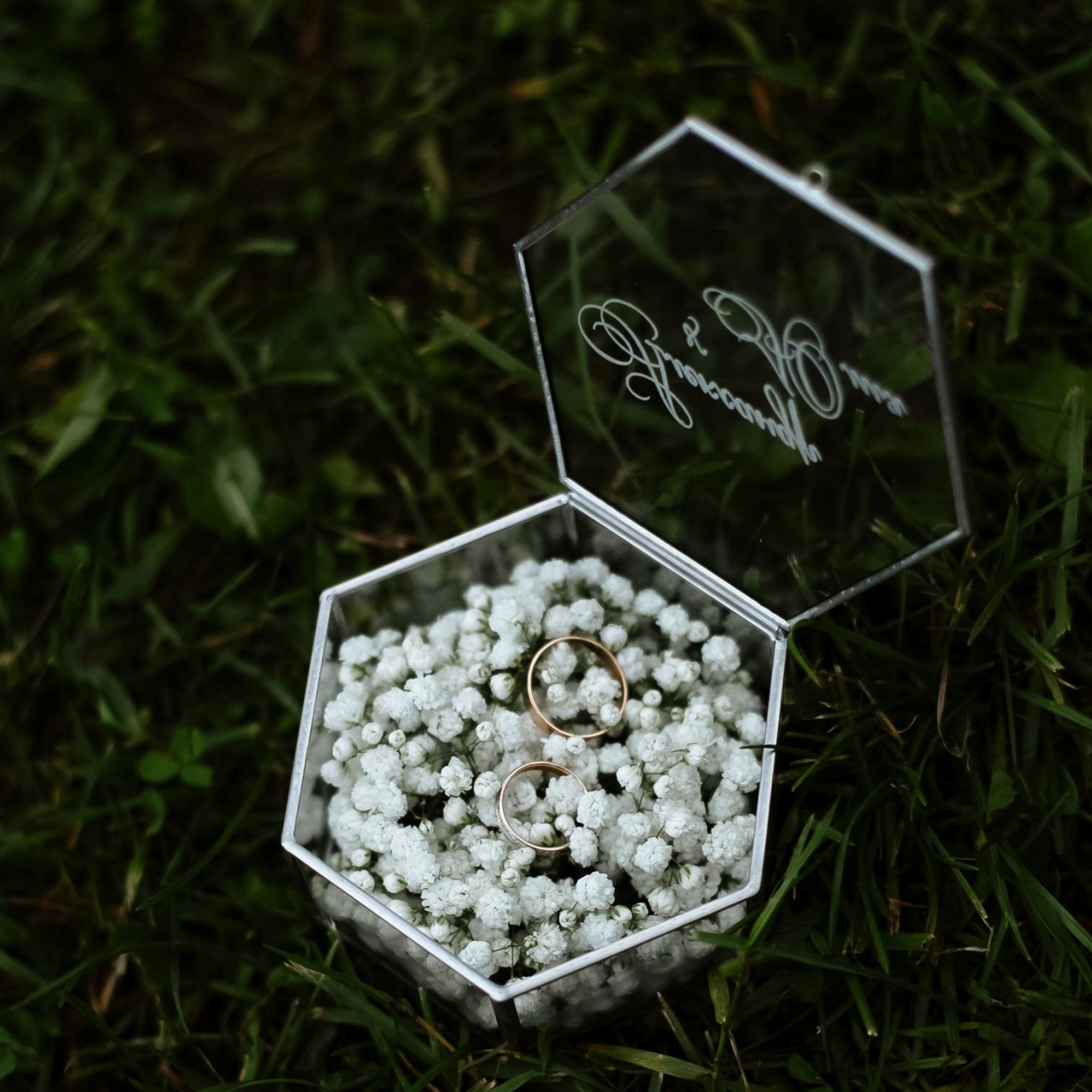 ведущие олеся и катя, ведущие в клину, поющие ведущие, ведущие на свадьбу, в клину, в солнечногорске, в зеленограде