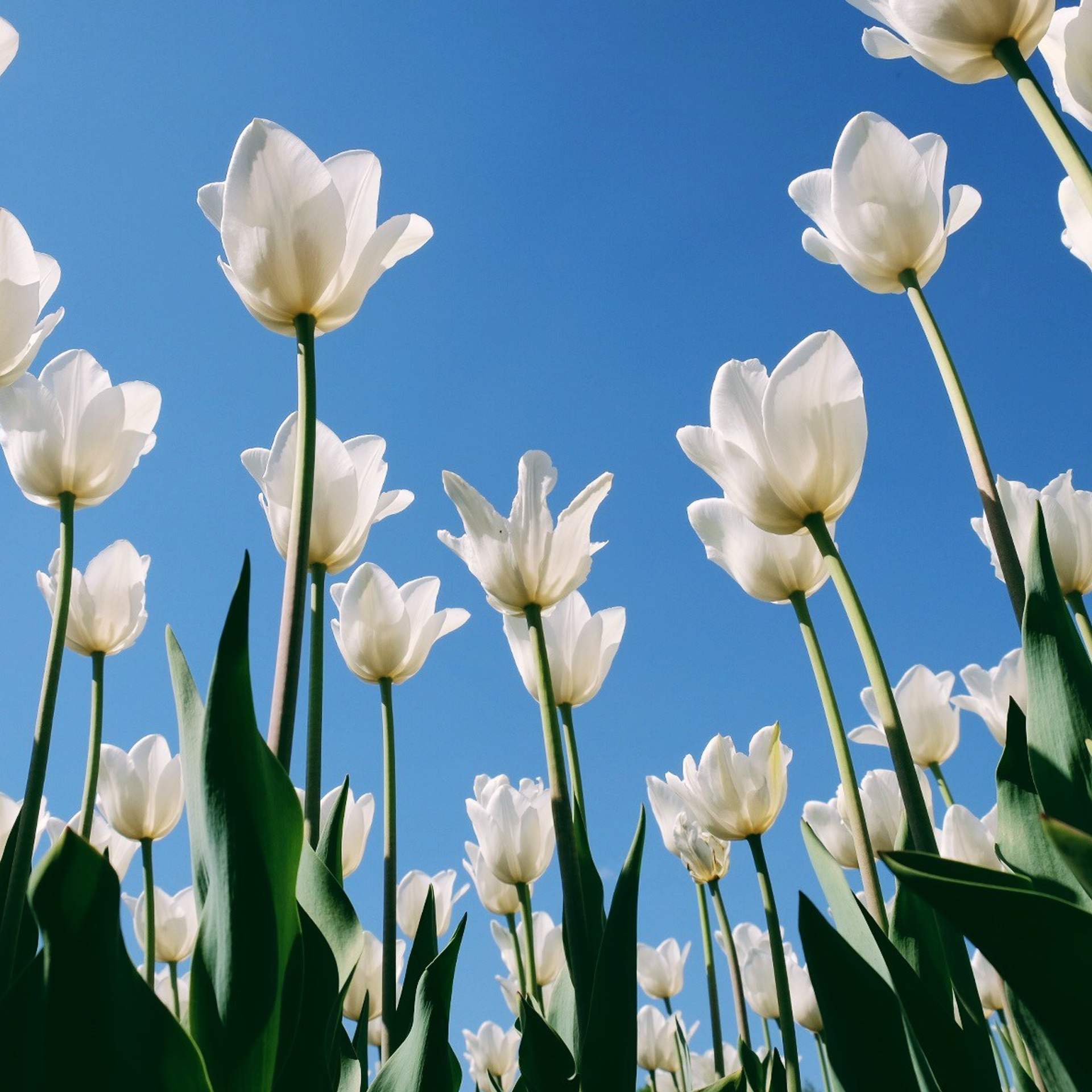 День 7 #адвенткалендарь. Главная