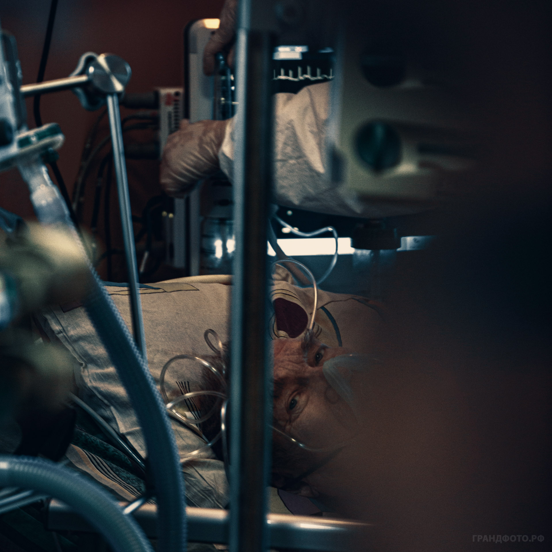 Фотопроект "Красная зона". ГРАНДФОТО.РФ