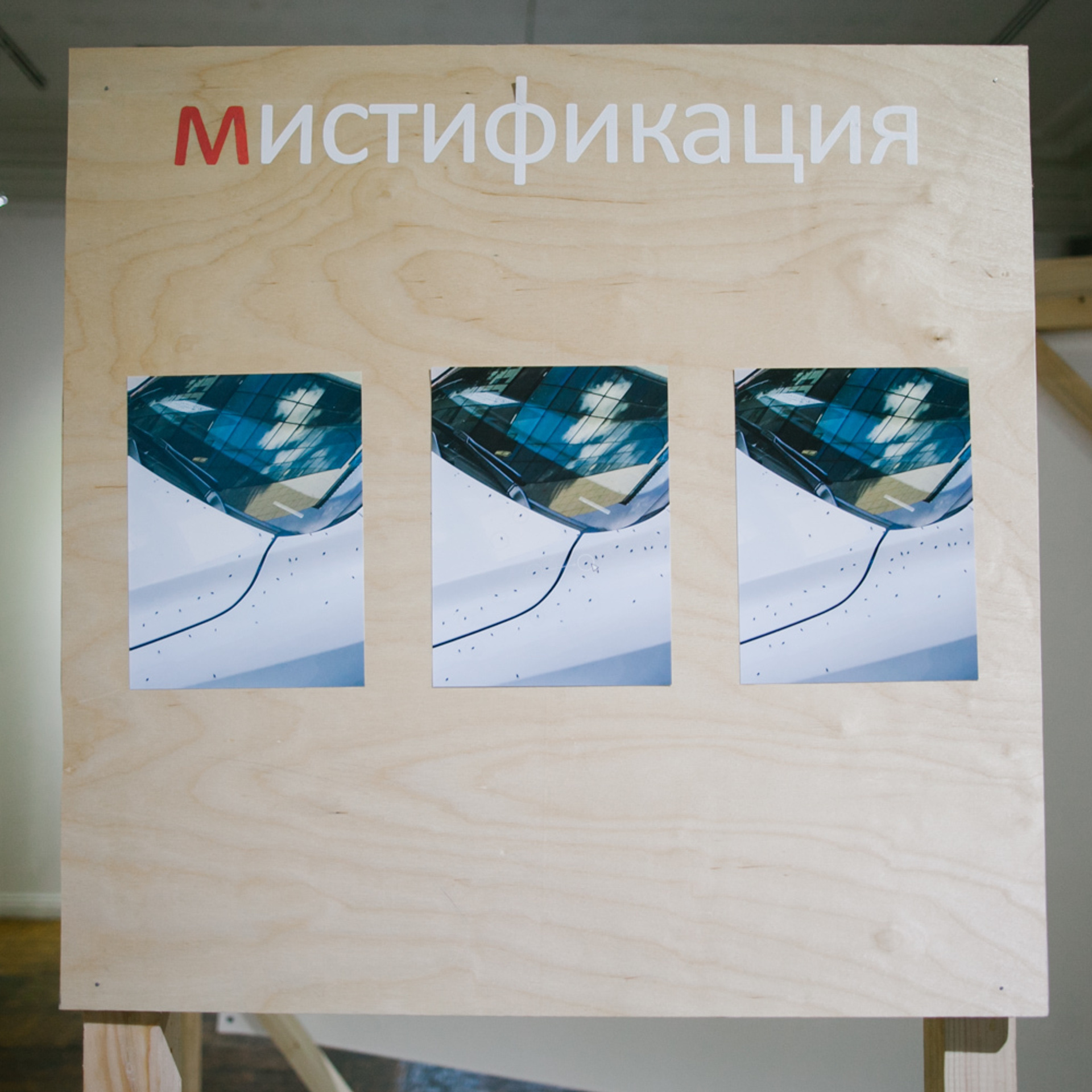 ПОМЕХА В ПЕЙЗАЖЕ. Фотограф Аня Марченкова