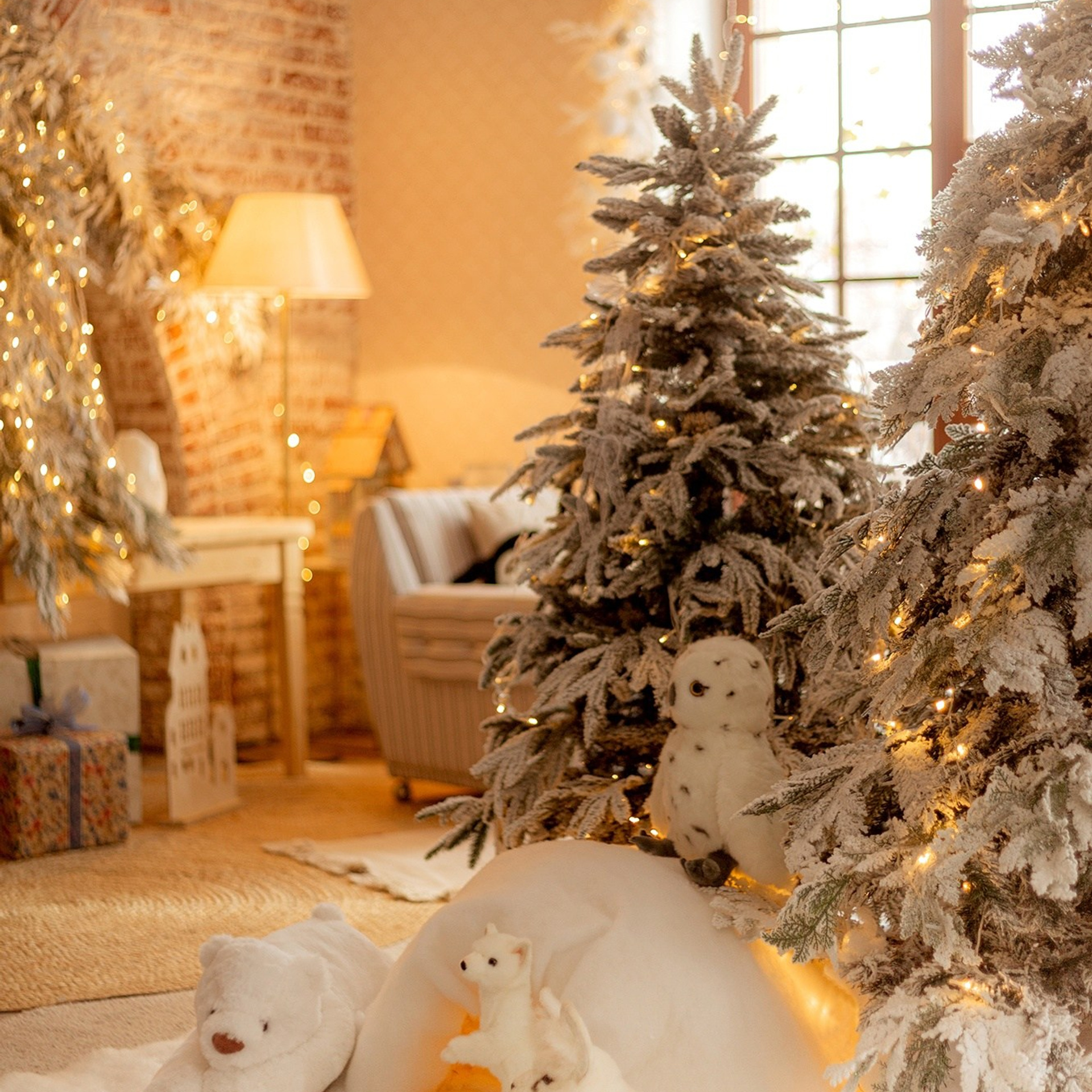 Фотостудия Fatatoom, Малый зал. Женский и семейный фотограф в Тюмени Пашнина Ольга