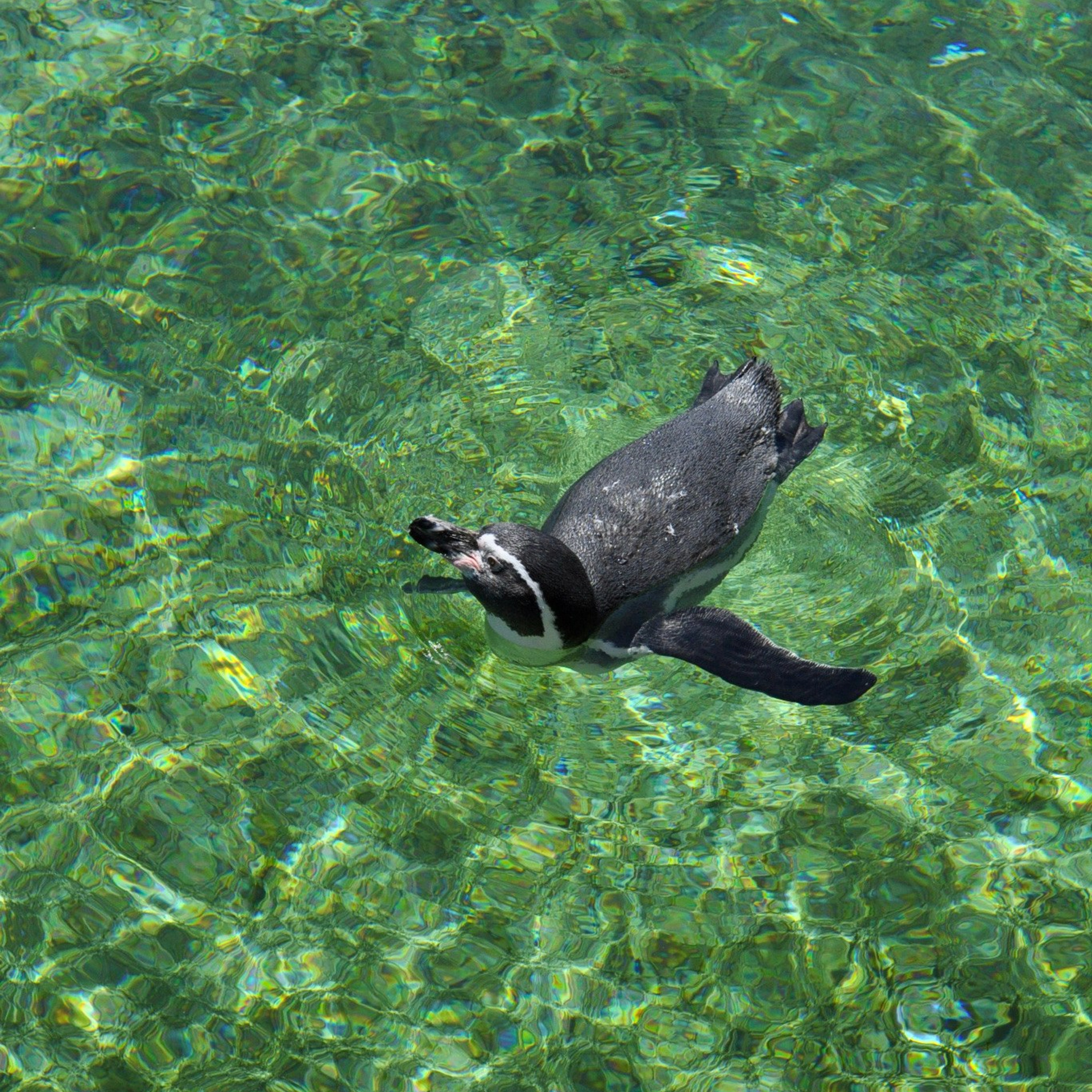 Океанографик в Валенсии. Гид и фотограф в Валенсии Новиков Михаил