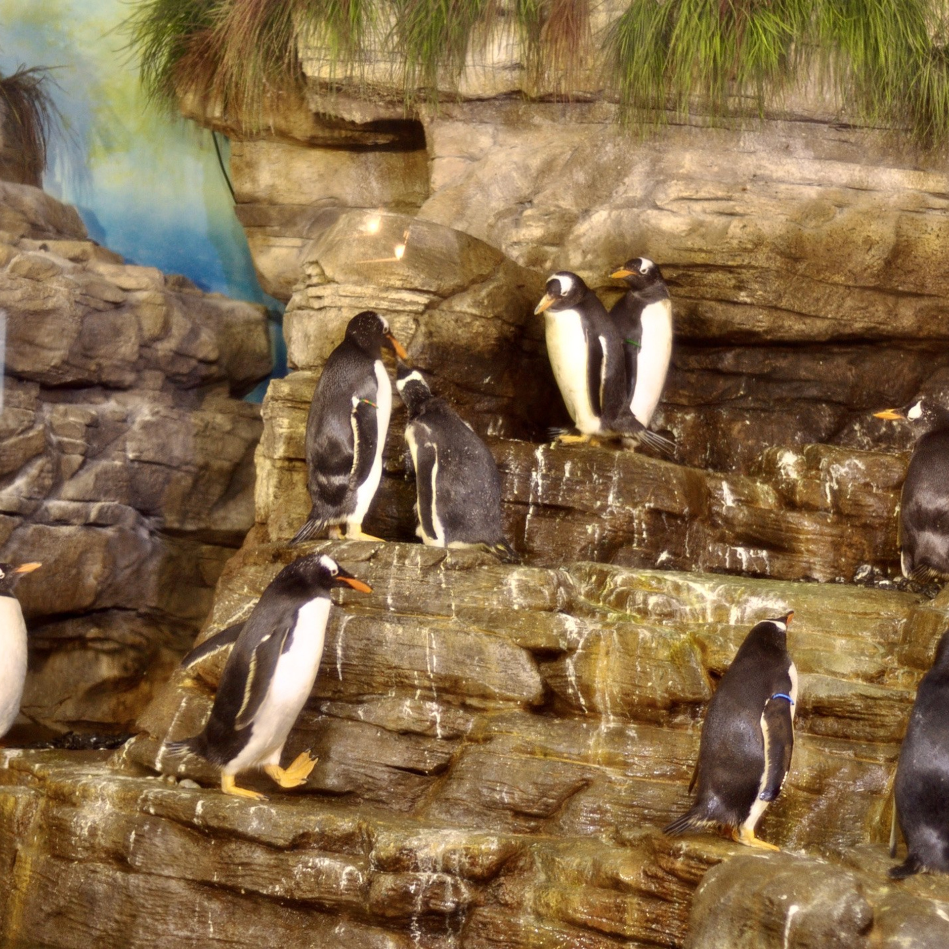 Океанографик в Валенсии. Гид и фотограф в Валенсии Новиков Михаил