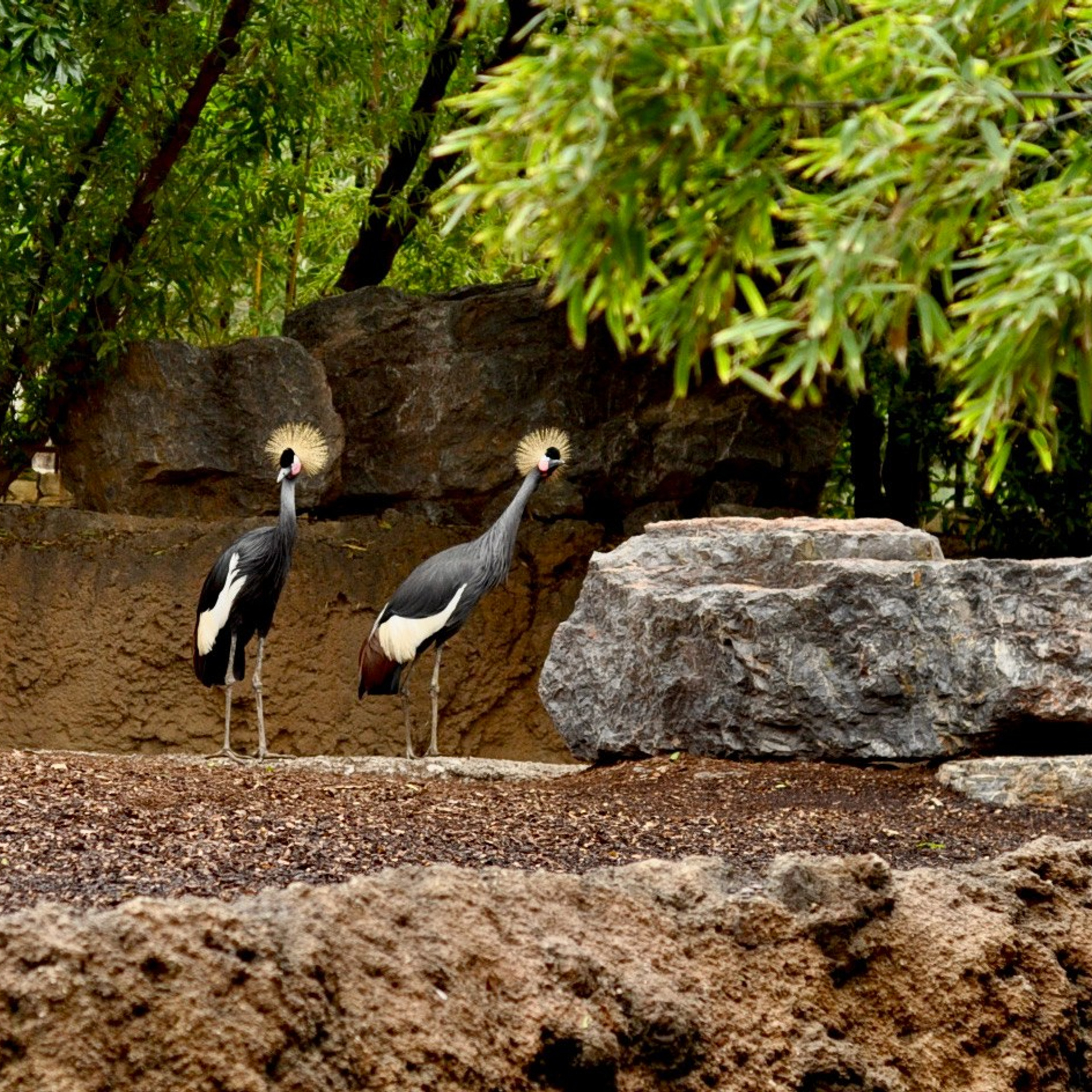 Биопарк в Валенсии. Гид и фотограф в Валенсии Новиков Михаил