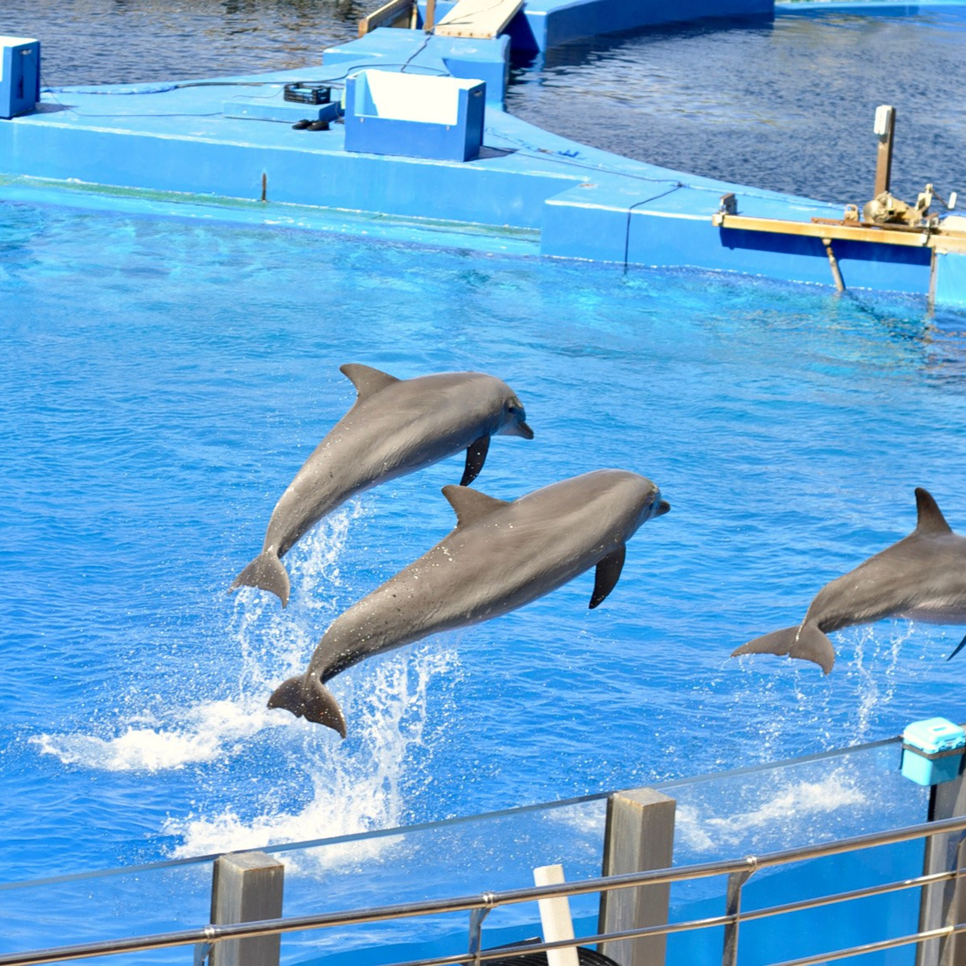 Океанографик в Валенсии. Гид и фотограф в Валенсии Новиков Михаил