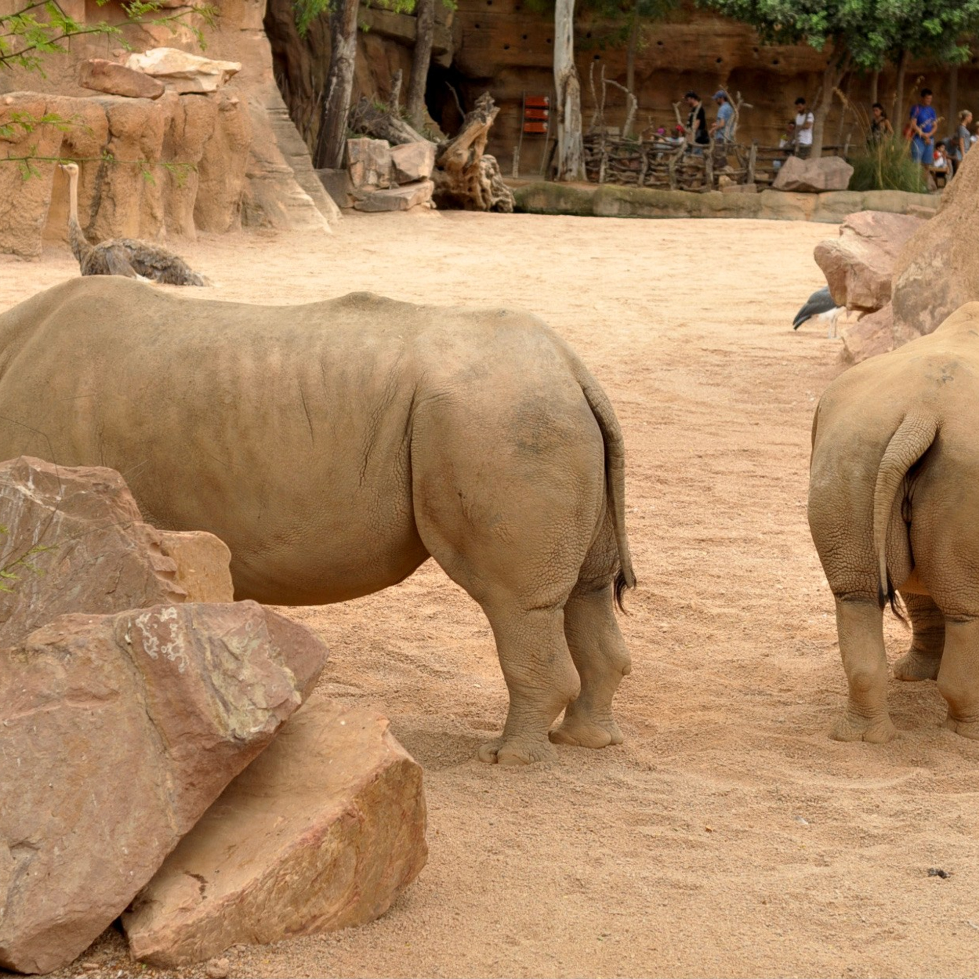 Биопарк в Валенсии. Гид и фотограф в Валенсии Новиков Михаил