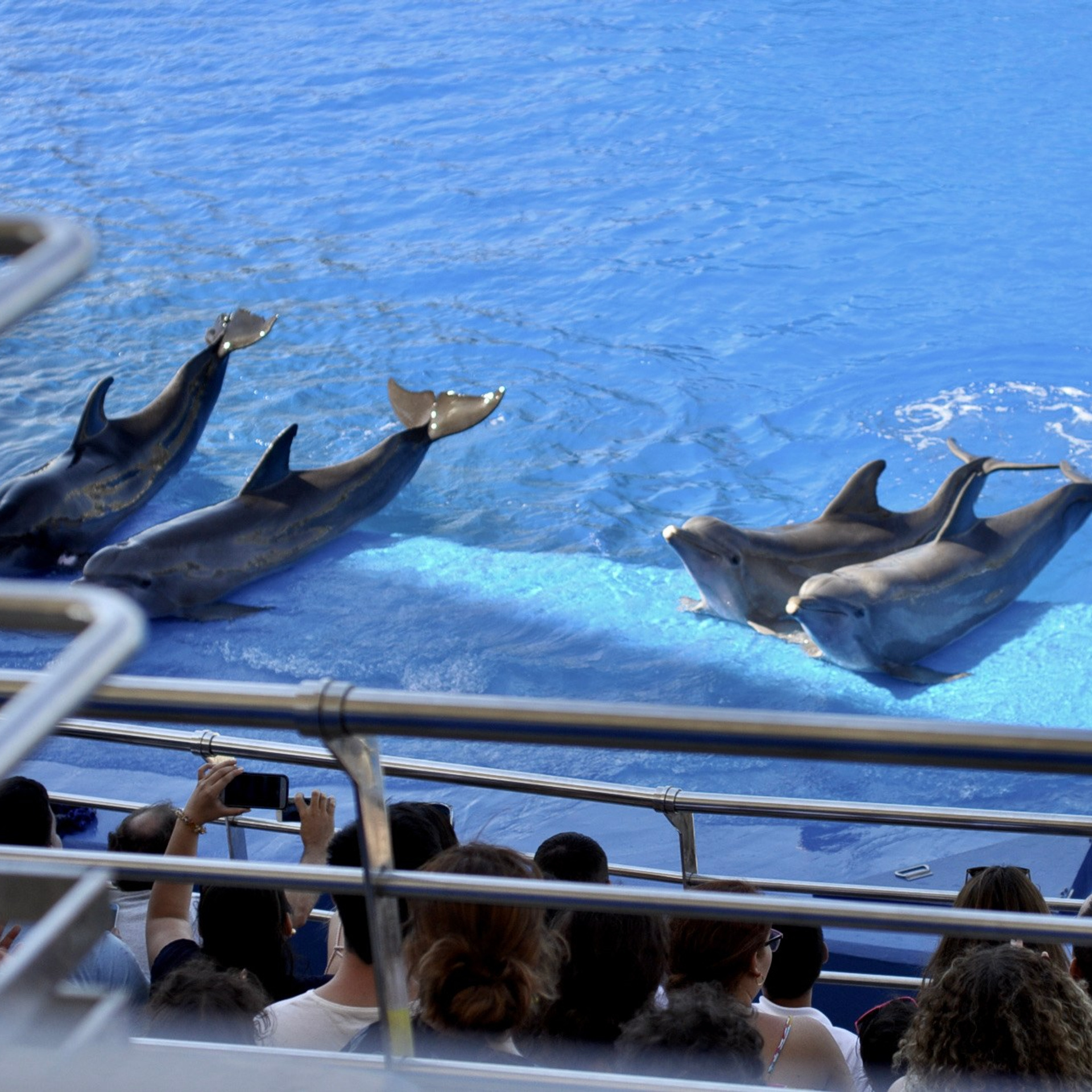 Океанографик в Валенсии. Гид и фотограф в Валенсии Новиков Михаил
