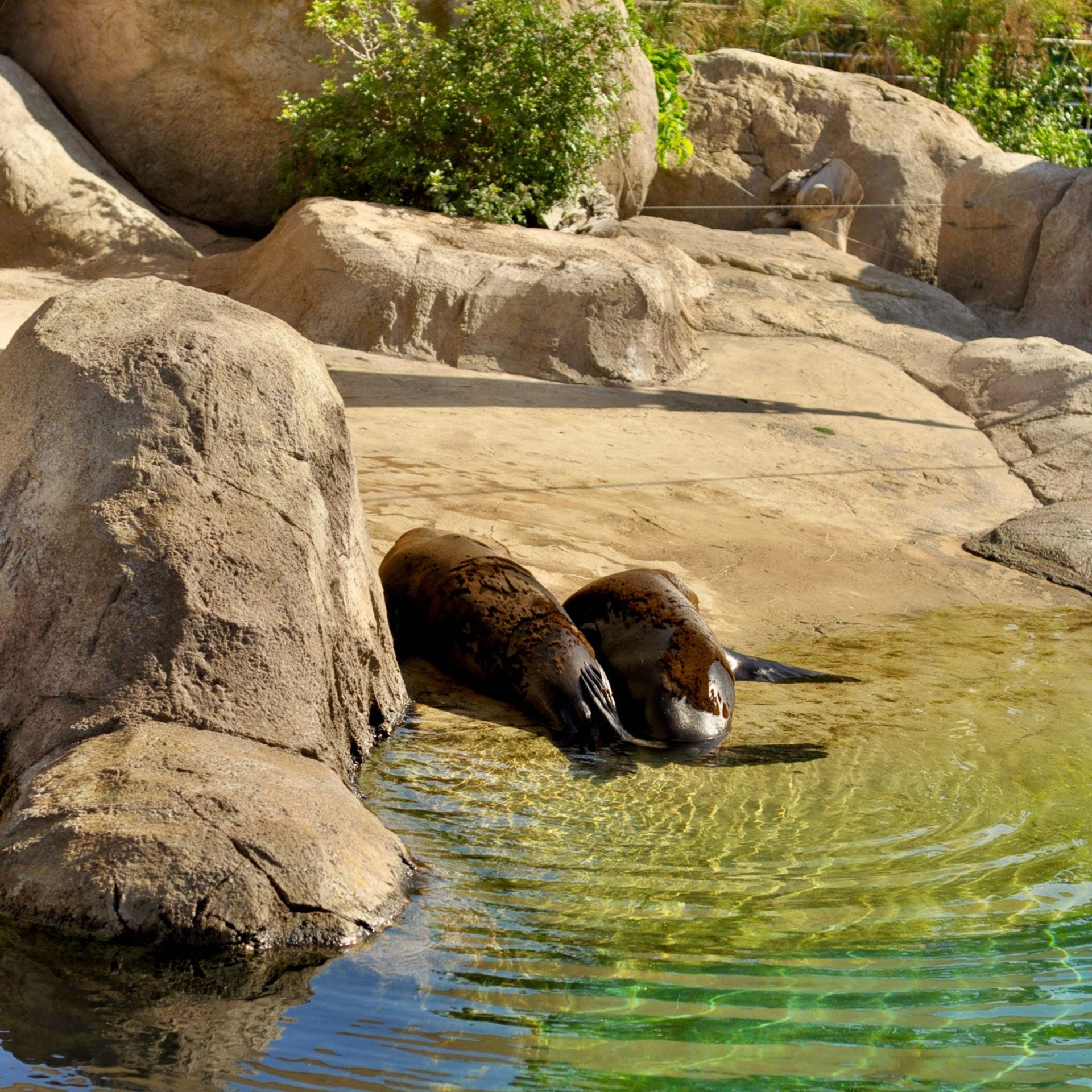 Океанографик в Валенсии. Гид и фотограф в Валенсии Новиков Михаил