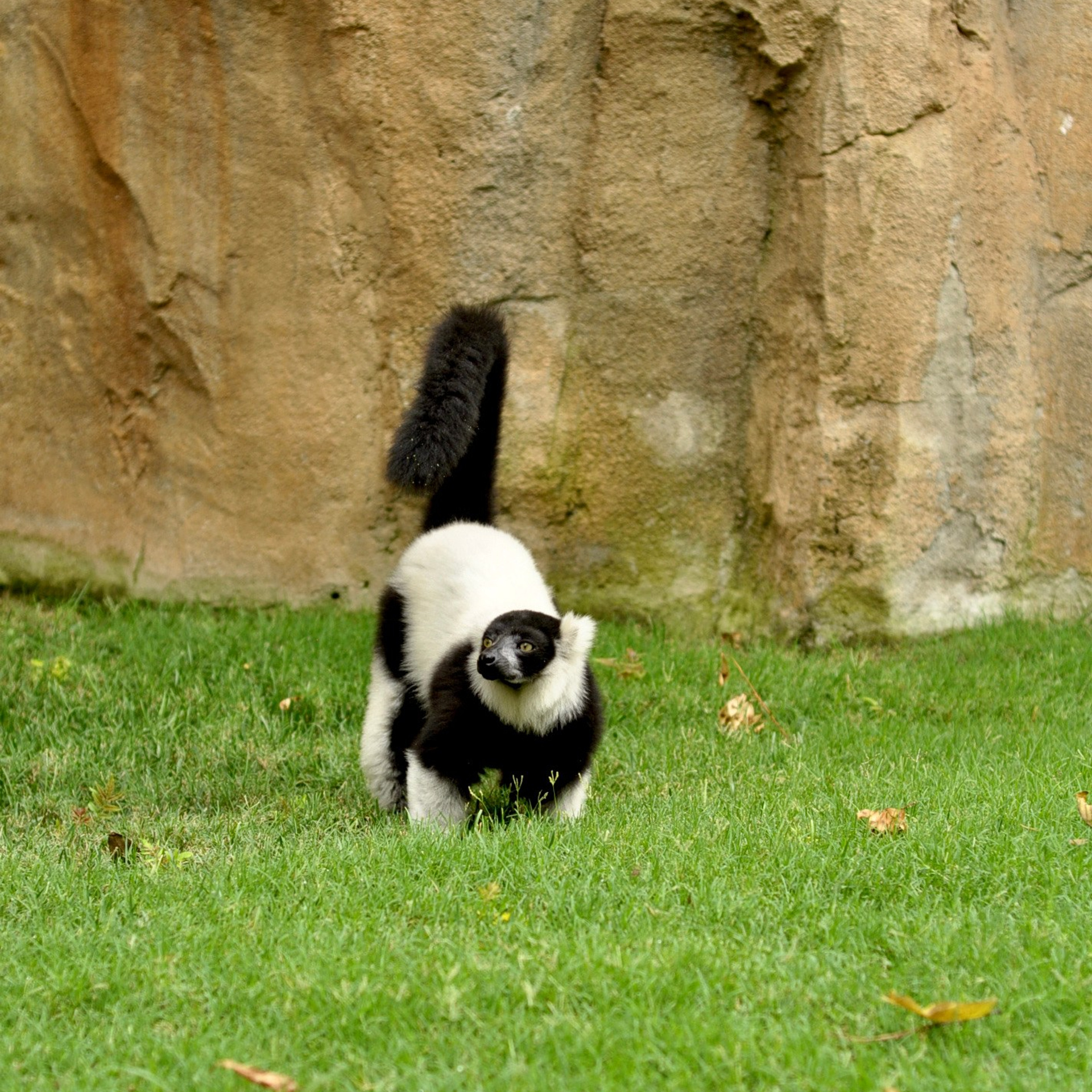 Биопарк в Валенсии. Гид и фотограф в Валенсии Новиков Михаил