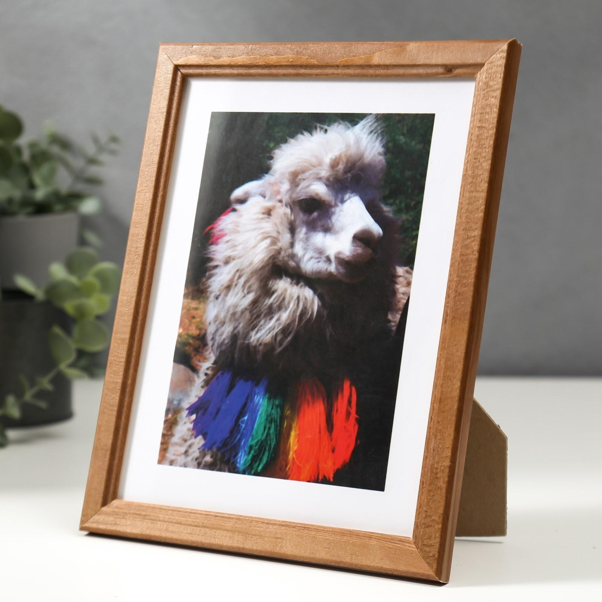 Салон фотоуслуг Мандарин в Новокручининске