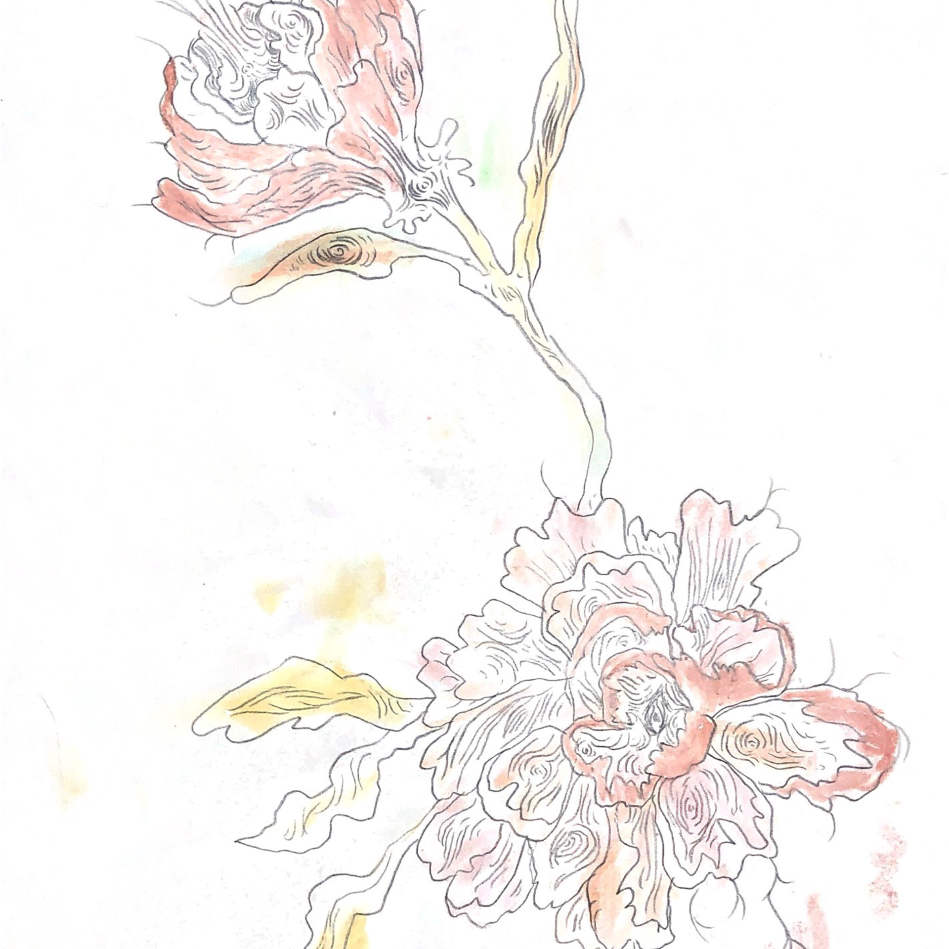 “The Empathic Trail” project, 2021. Ksenia Markelova, multidisciplinary artist, Yekaterinburg