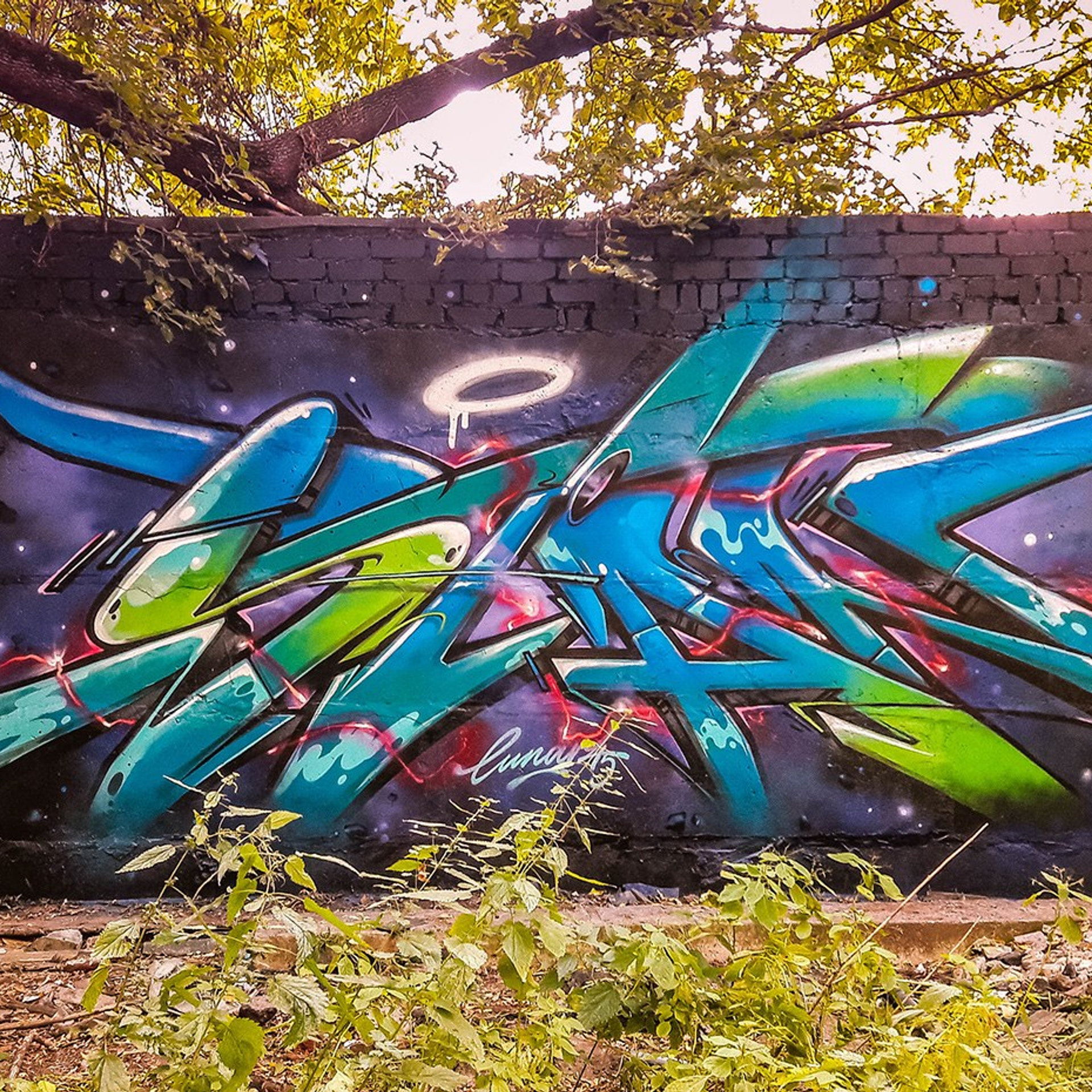 Graffiti. Alexander Stan Shimanov