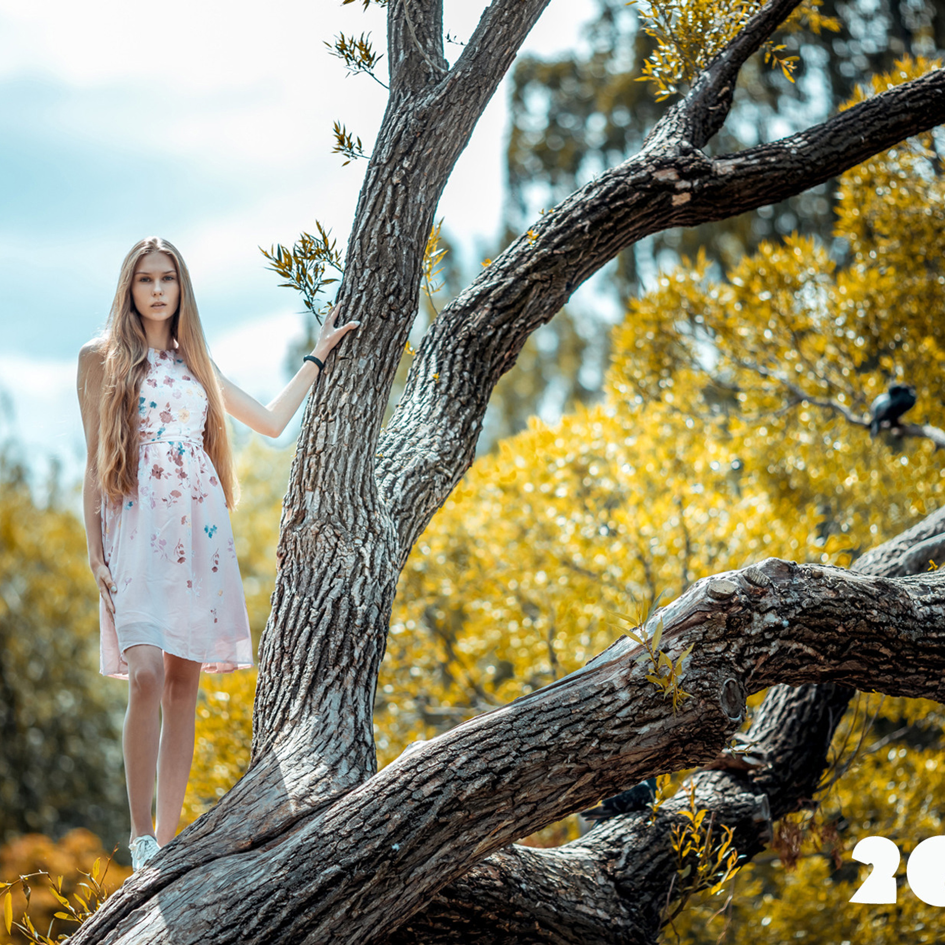 Открытки. Фотограф для маркетплейсов Михаил Бове