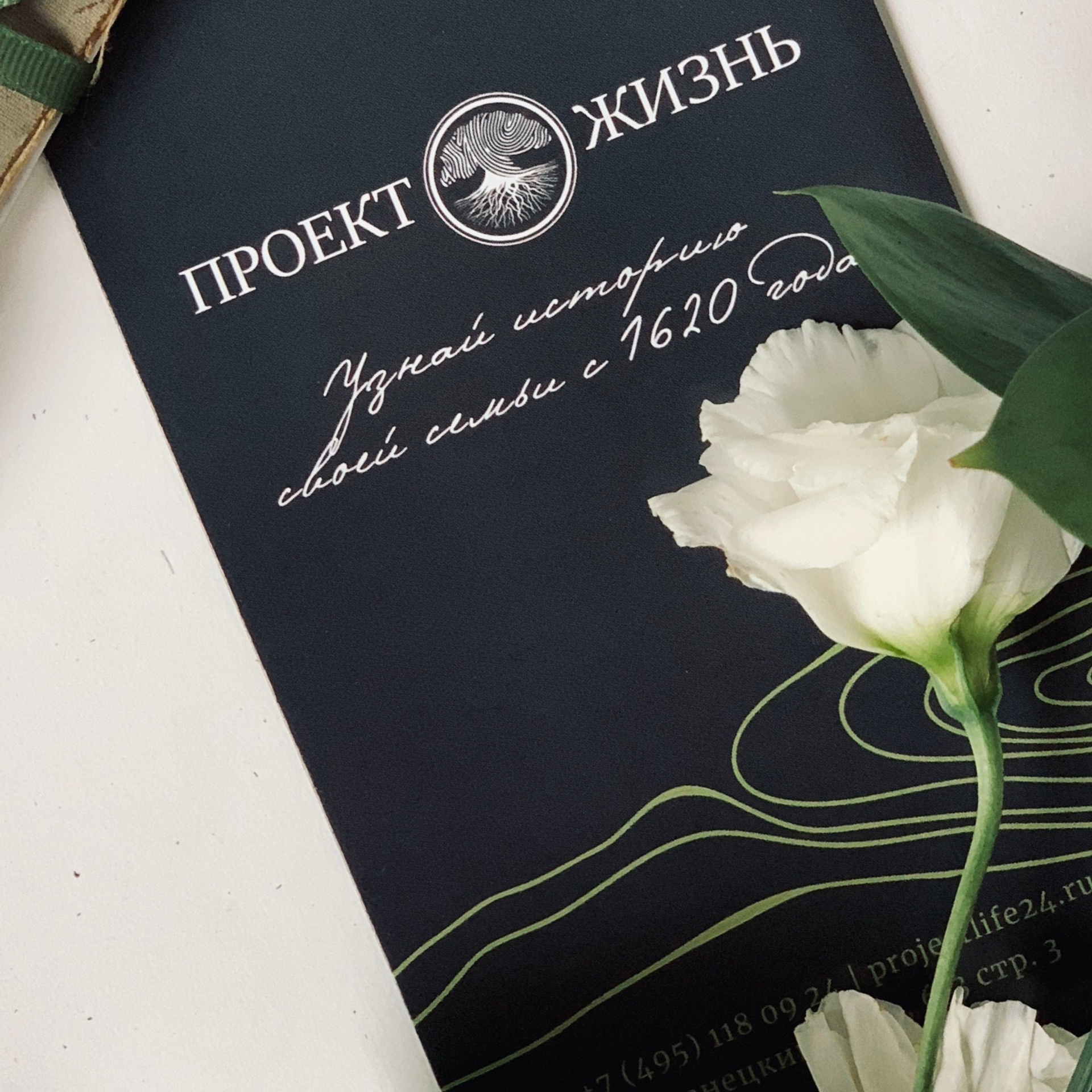 Коммерческие проекты. Ширяева Ольга