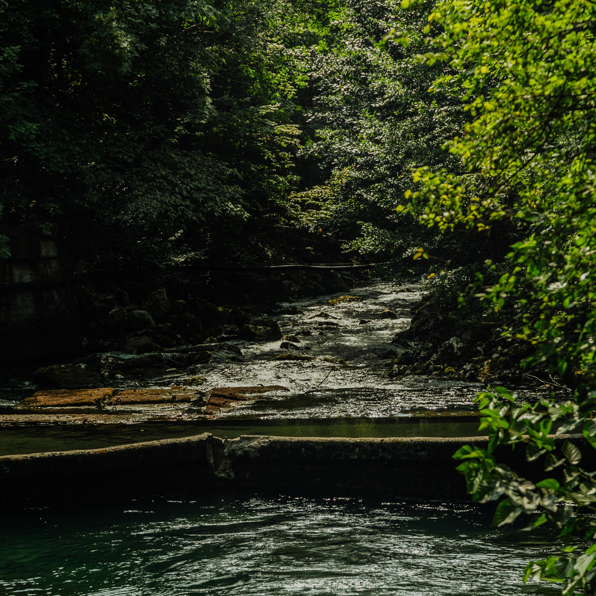 Заставки на телефон. Сочи (Роза Хутор)+Абхазия. Свадебный и репортажный фотограф Новороссийск Краснодар Сочи Крым Данила Данилов