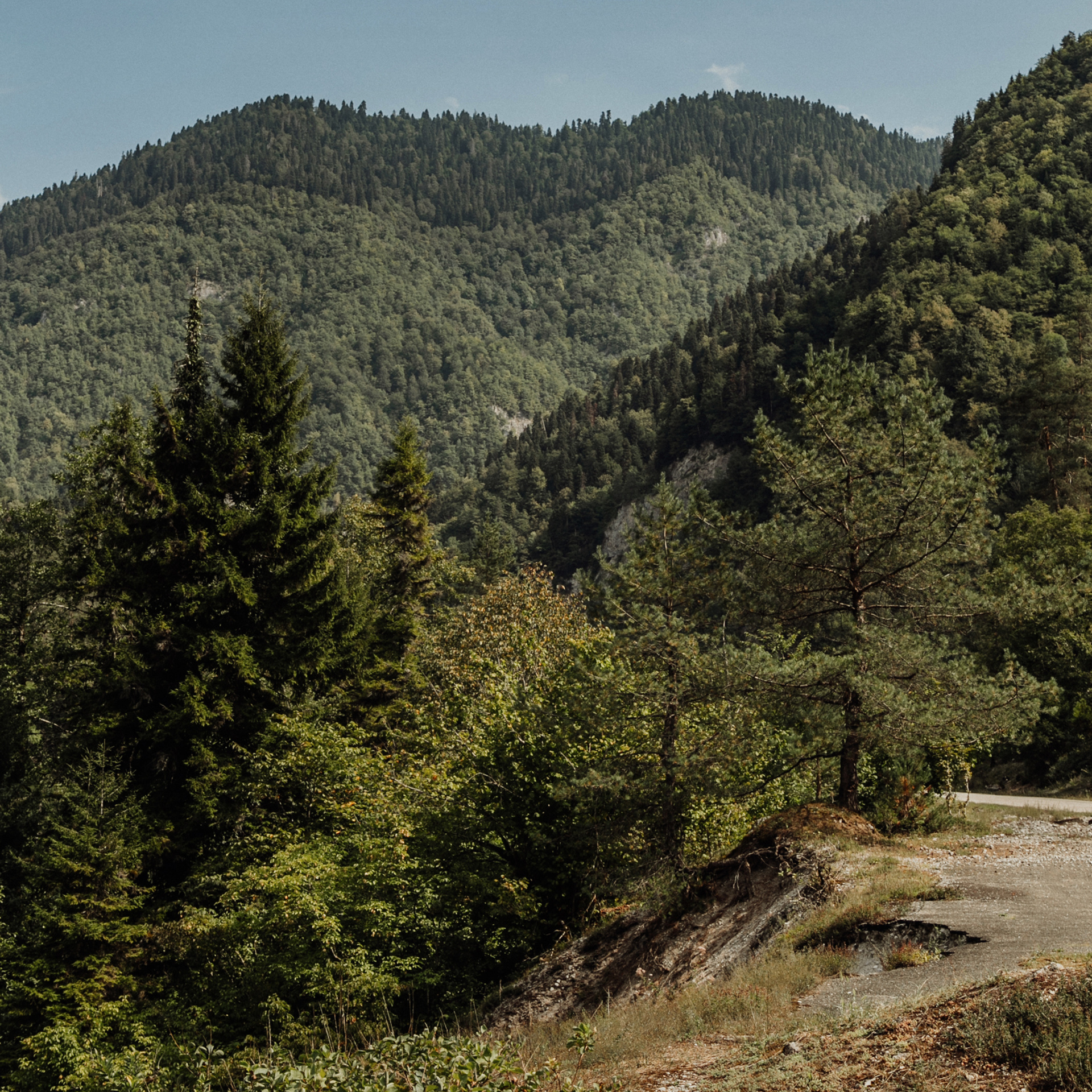 Заставки на телефон. Сочи (Роза Хутор)+Абхазия. Свадебный и репортажный фотограф Новороссийск Краснодар Сочи Крым Данила Данилов