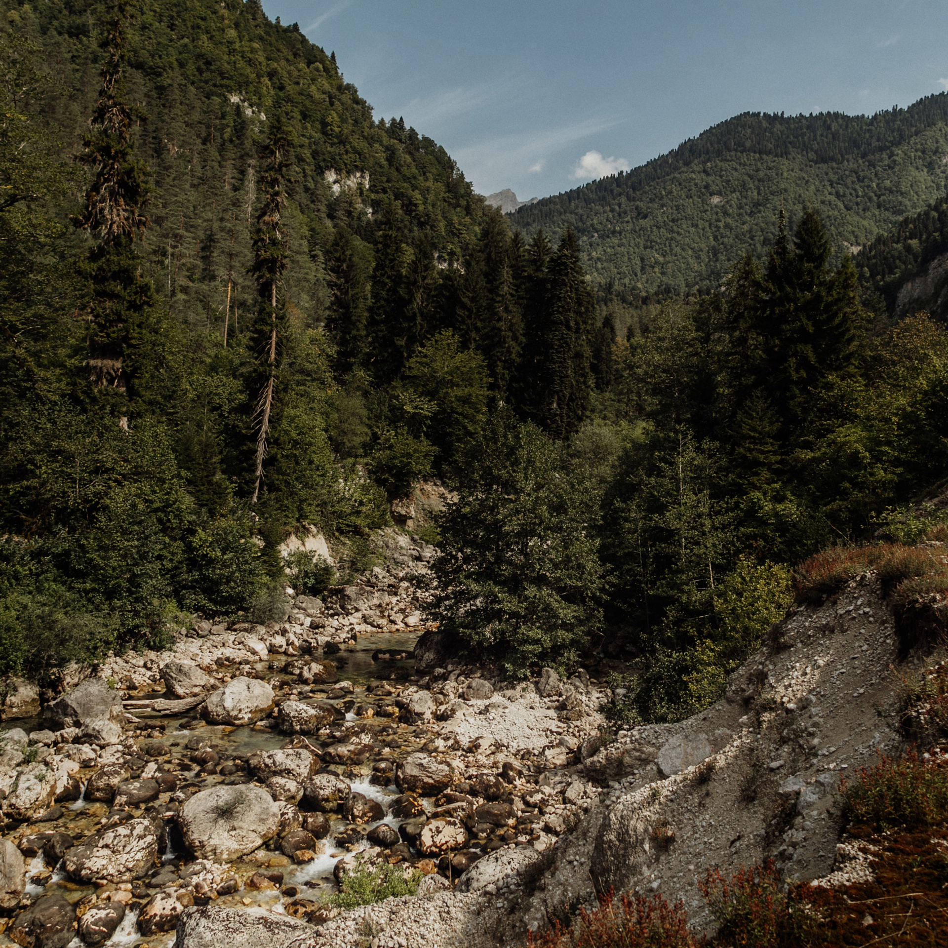 Заставки на телефон. Сочи (Роза Хутор)+Абхазия. Свадебный и репортажный фотограф Новороссийск Краснодар Сочи Крым Данила Данилов
