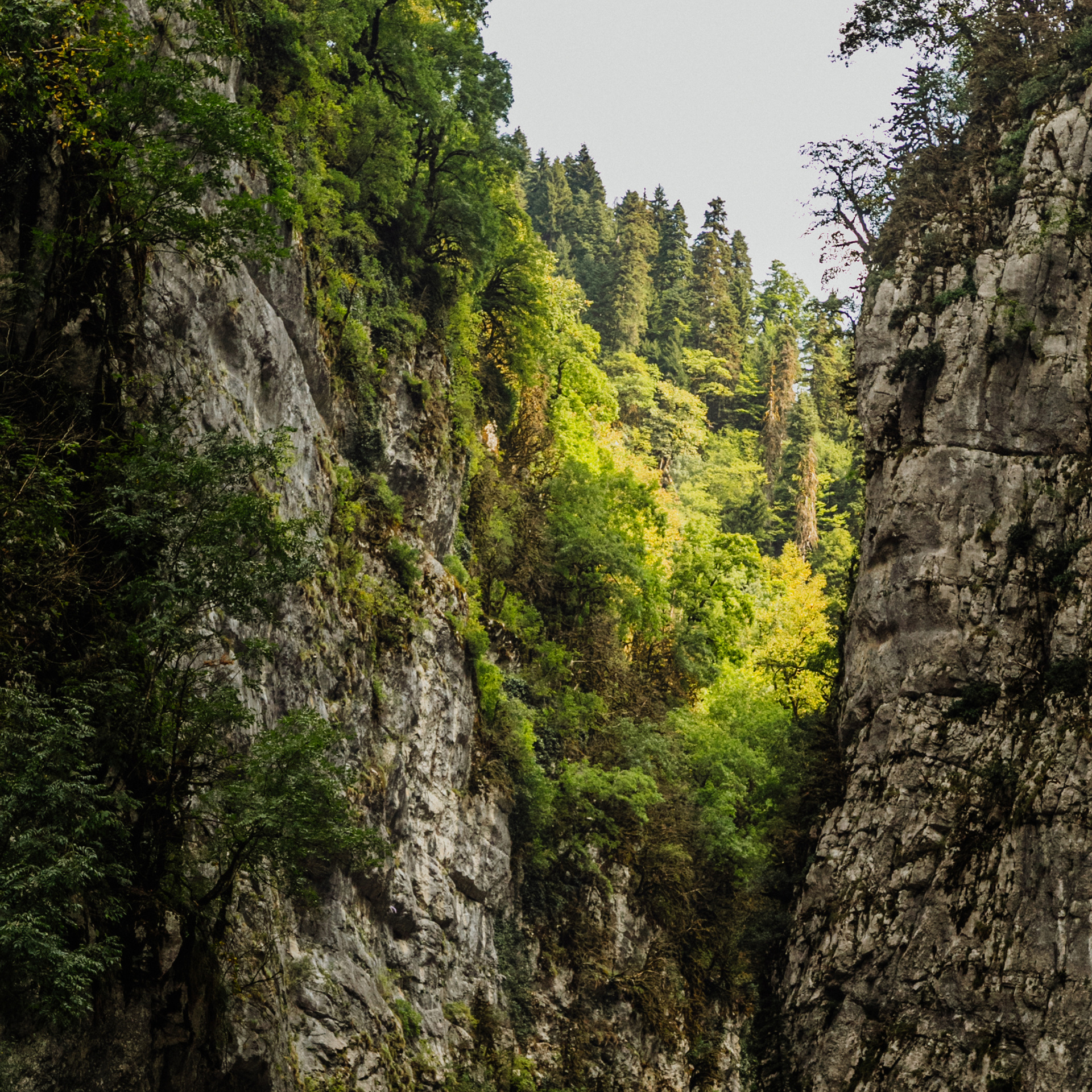 Заставки на телефон. Сочи (Роза Хутор)+Абхазия. Свадебный и репортажный фотограф Новороссийск Краснодар Сочи Крым Данила Данилов