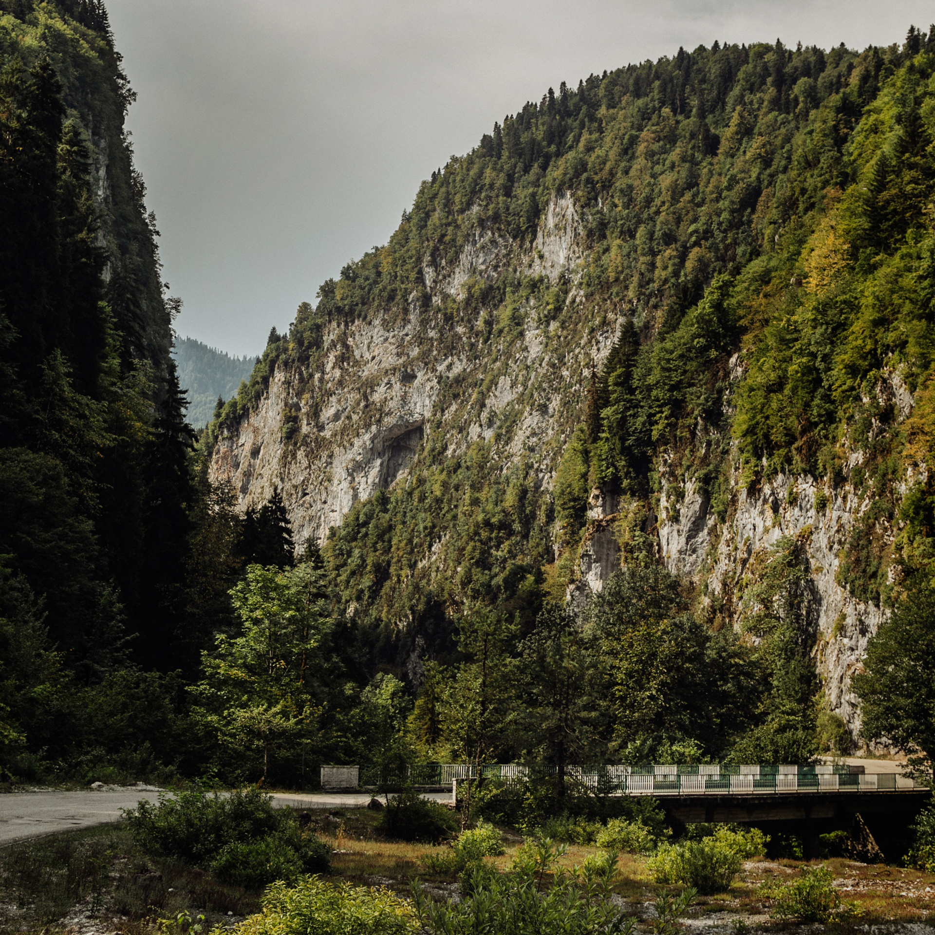 Заставки на телефон. Сочи (Роза Хутор)+Абхазия. Свадебный и репортажный фотограф Новороссийск Краснодар Сочи Крым Данила Данилов