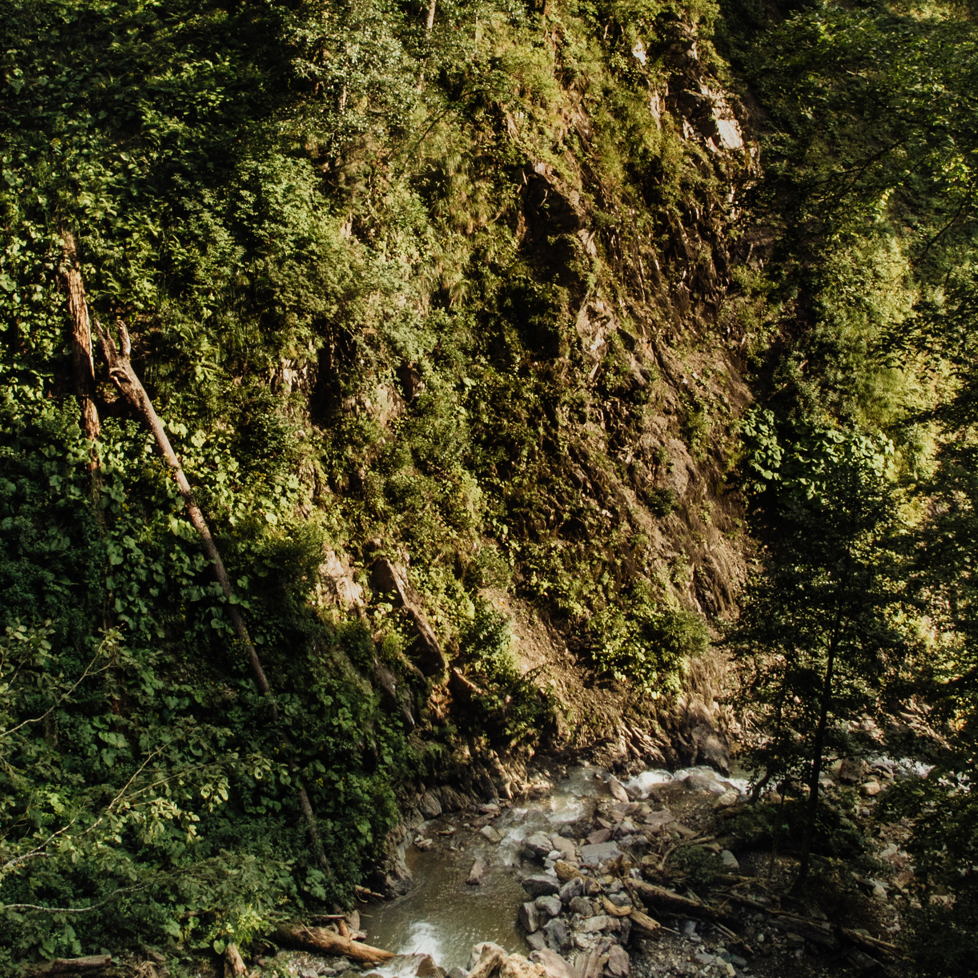 Заставки на телефон. Сочи (Роза Хутор)+Абхазия. Свадебный и репортажный фотограф Новороссийск Краснодар Сочи Крым Данила Данилов