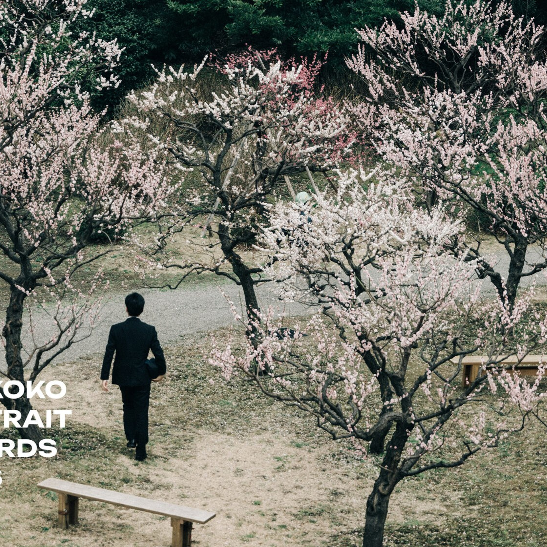 КОСМОС. Снимки Луны с миссии Артемида II. Репортажный фотограф в Сочи — Михаил Мордасов