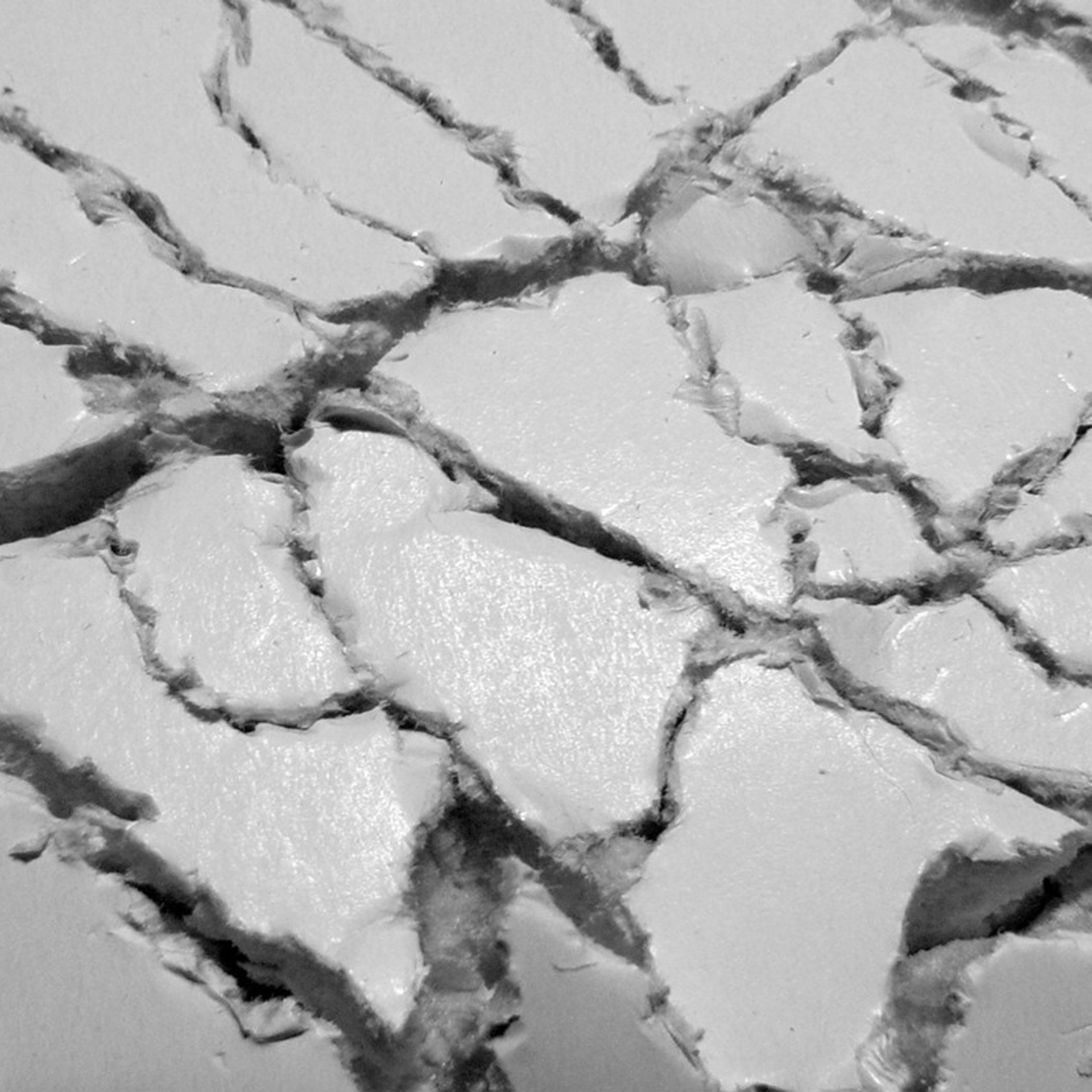 Soil. Elena Slobtseva is a visual multidisciplinary artist