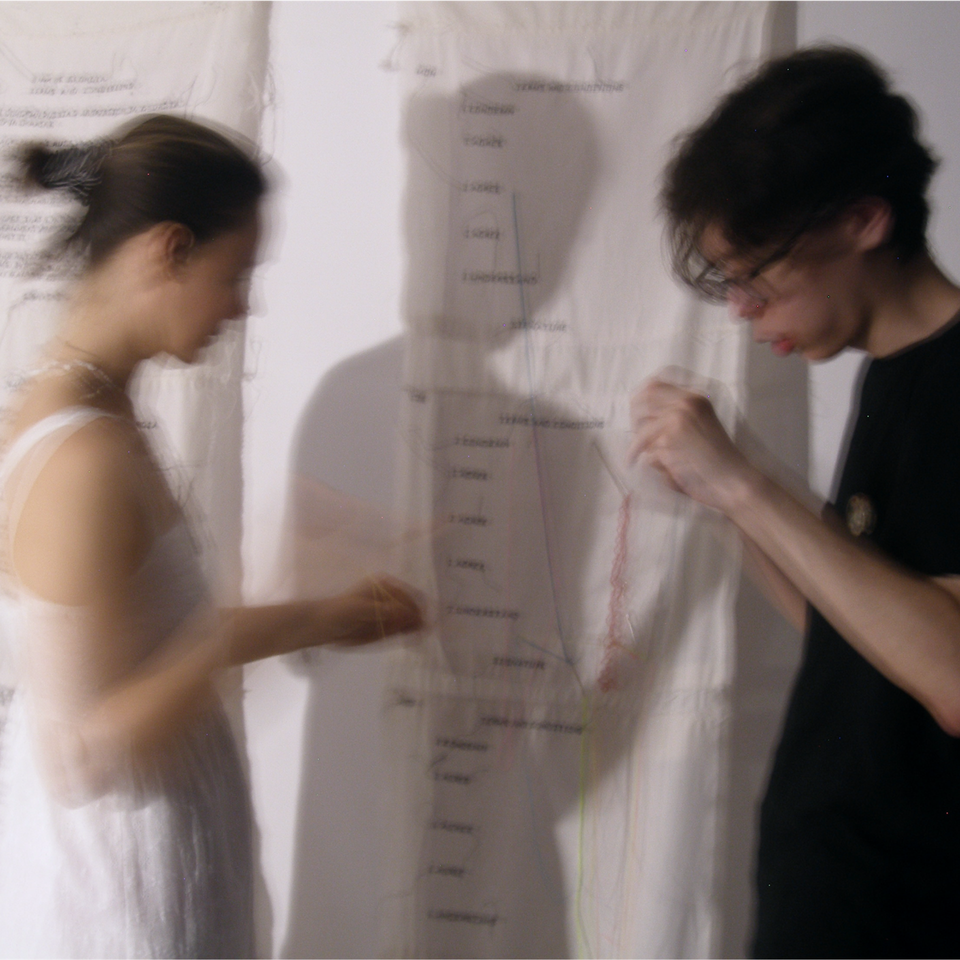 Terms and Conditions. Elena Slobtseva is a visual multidisciplinary artist