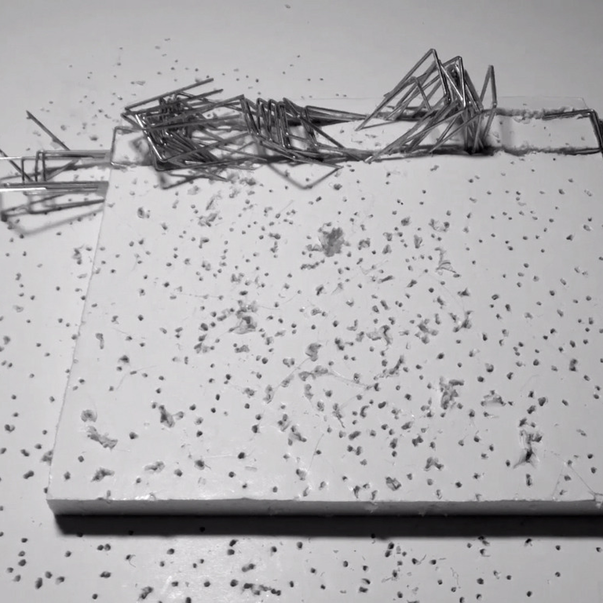 Staples. Elena Slobtseva is a visual multidisciplinary artist