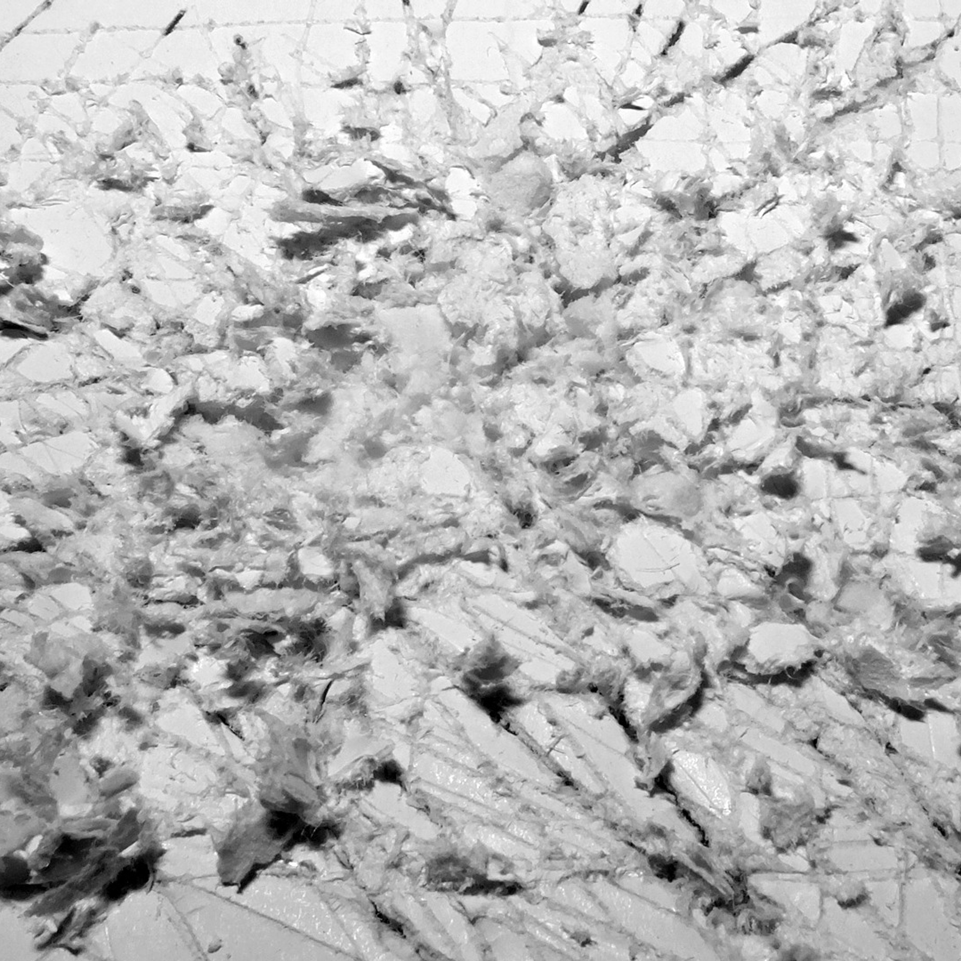 Soil. Elena Slobtseva is a visual multidisciplinary artist