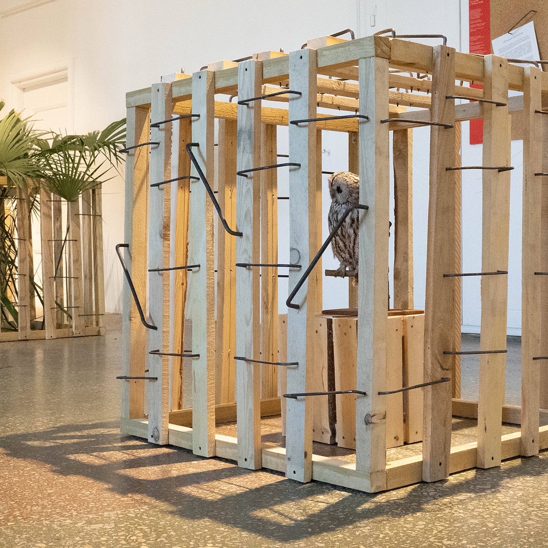 Cages for exhibits. Elena Slobtseva is a visual multidisciplinary artist
