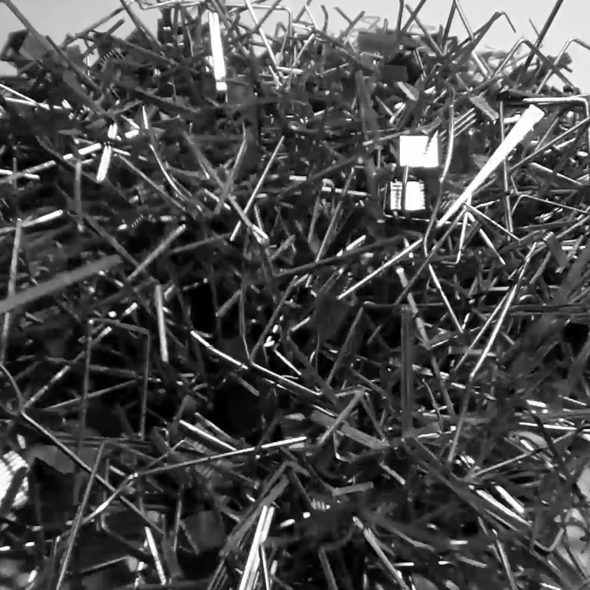 Grass. Elena Slobtseva is a visual multidisciplinary artist