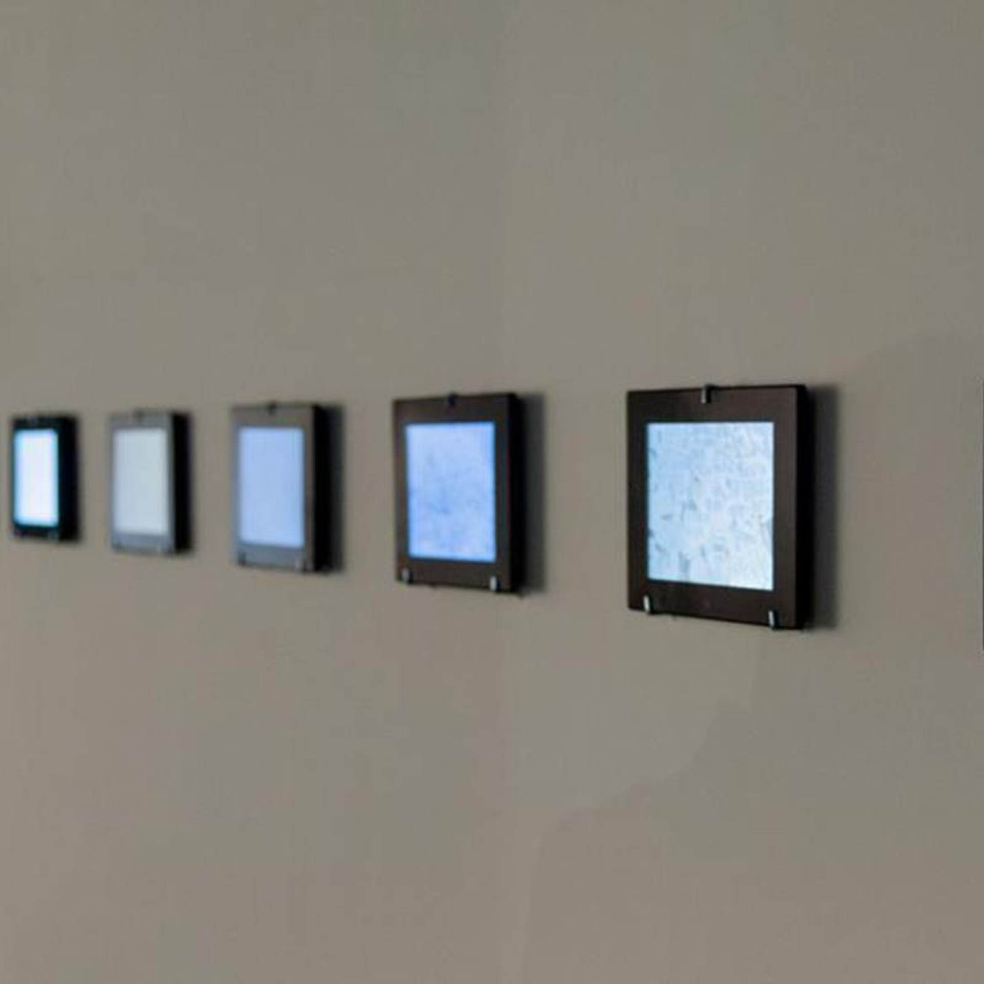 Grass. Elena Slobtseva is a visual multidisciplinary artist