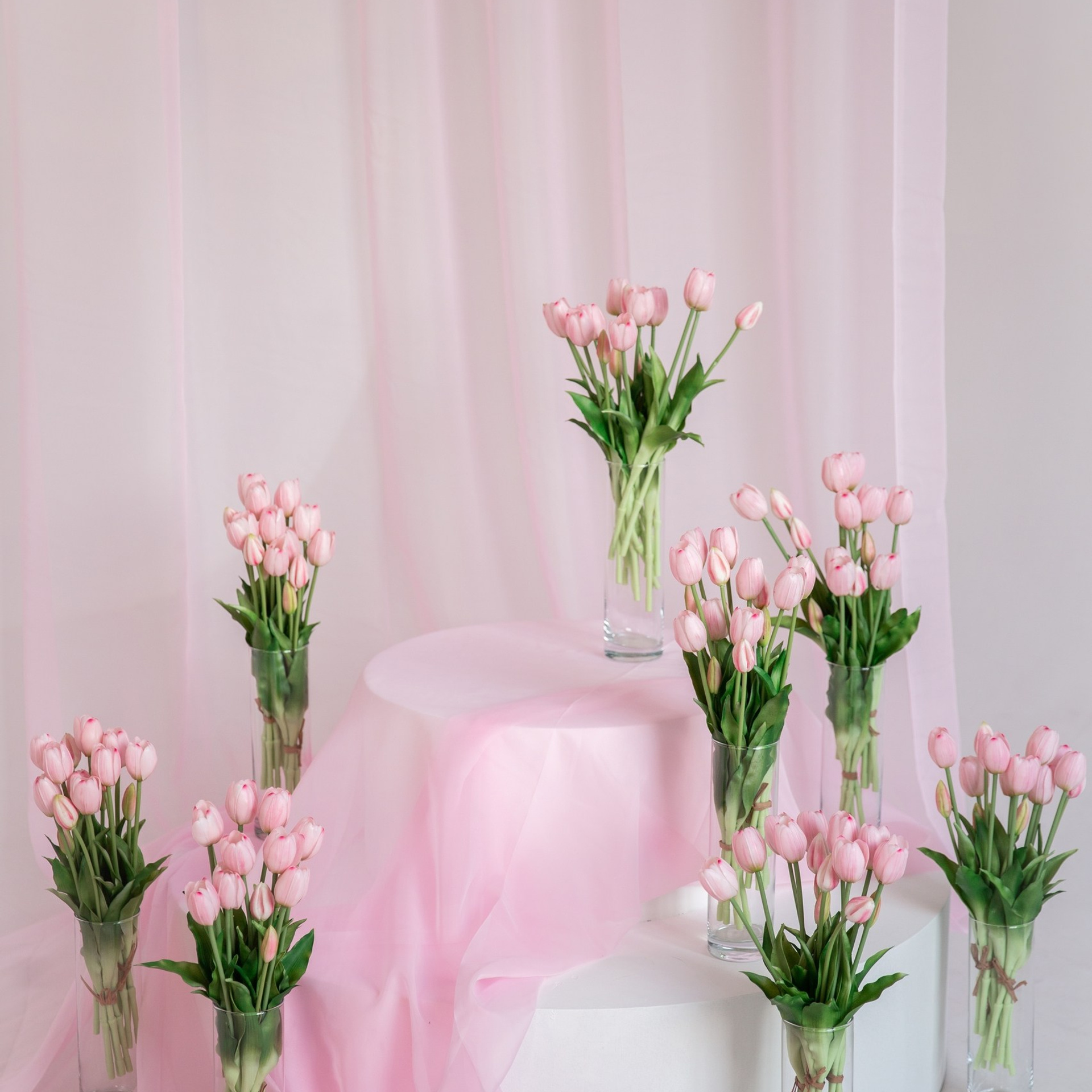 PORTFOLIO (Зал «Новый»)