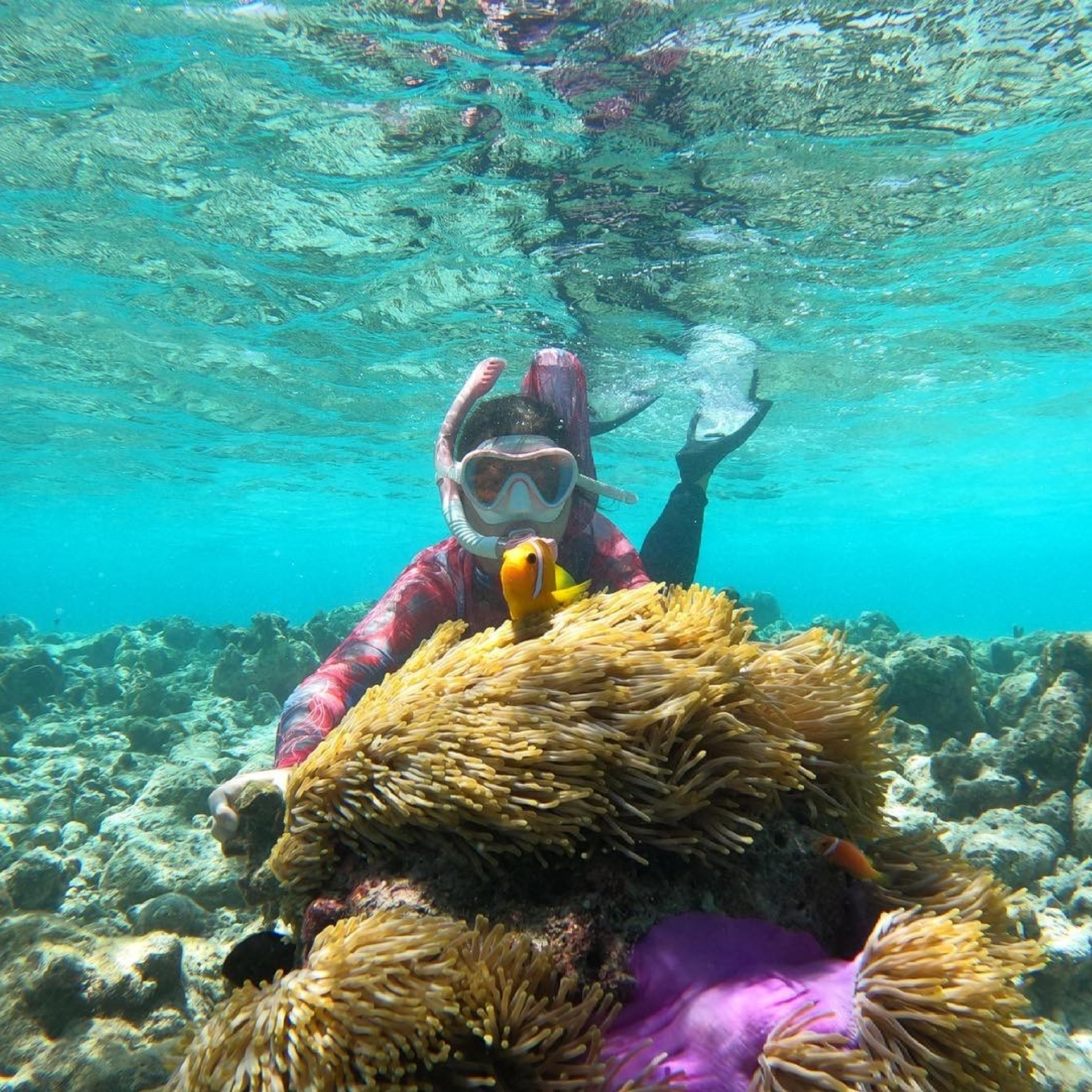 ЭКСКУРСИЯ на Мальдивах — «АКВАРИУМ»