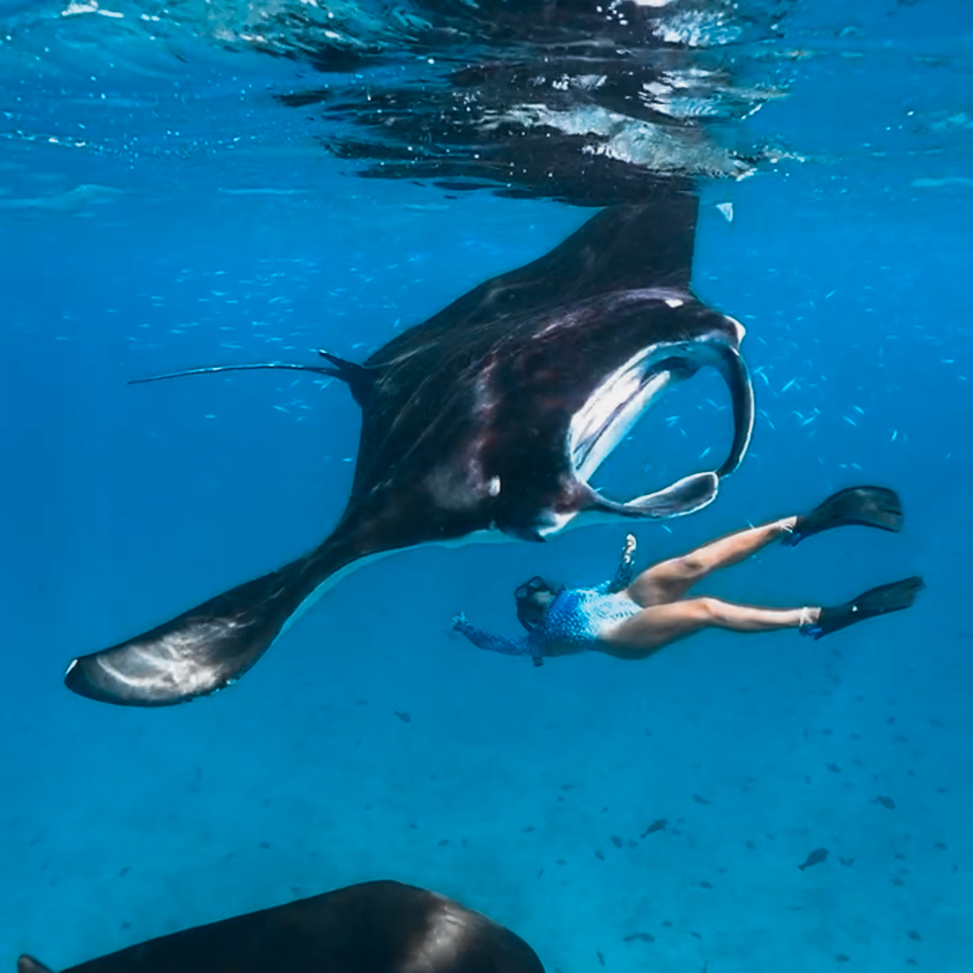 Авторские туры на Мальдивы