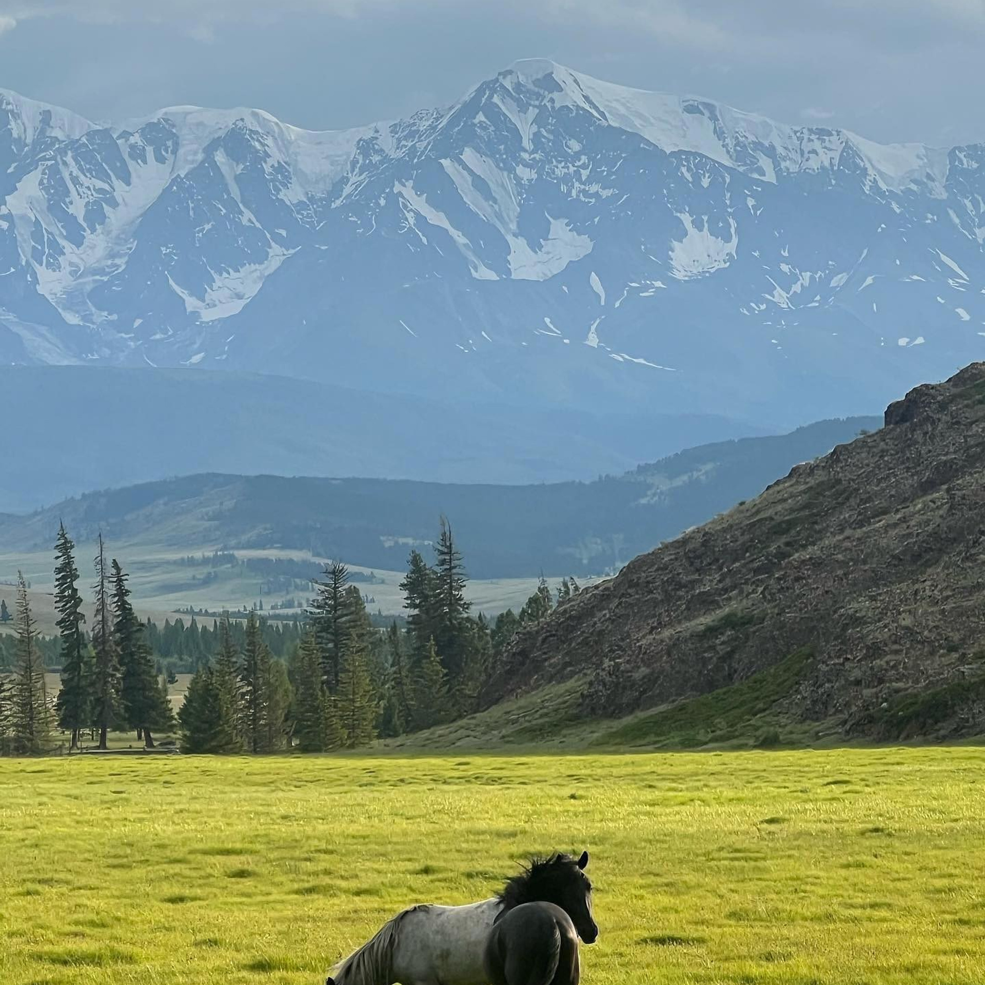 Алтай. Уникальные экспедиции — LUCKY CLAN