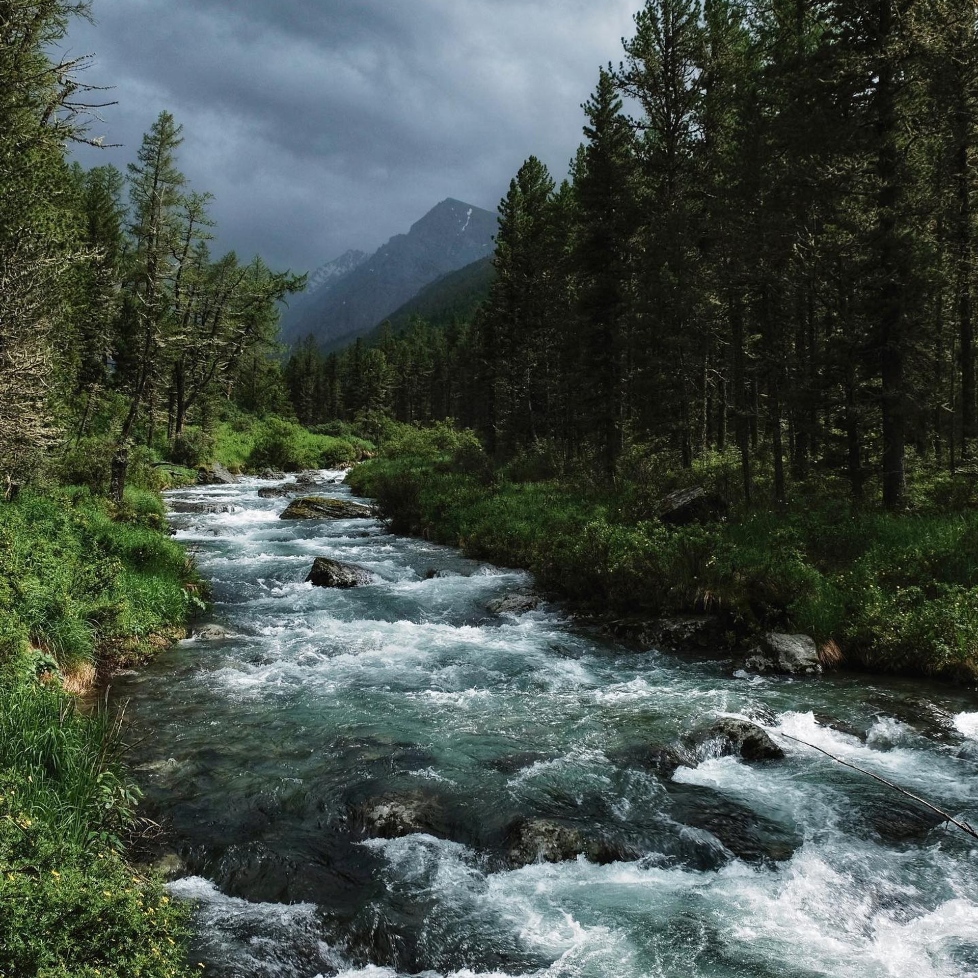 Алтай. Уникальные экспедиции — LUCKY CLAN