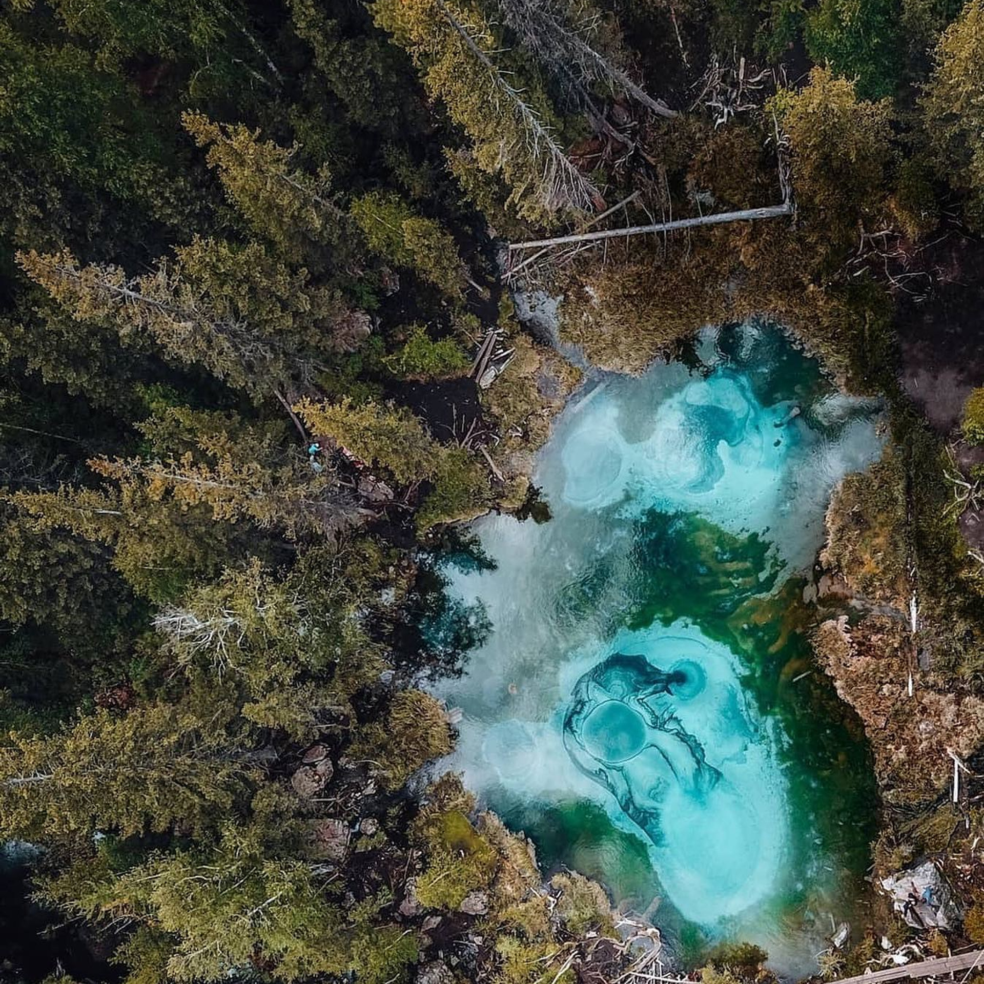 Алтай. Уникальные экспедиции — LUCKY CLAN