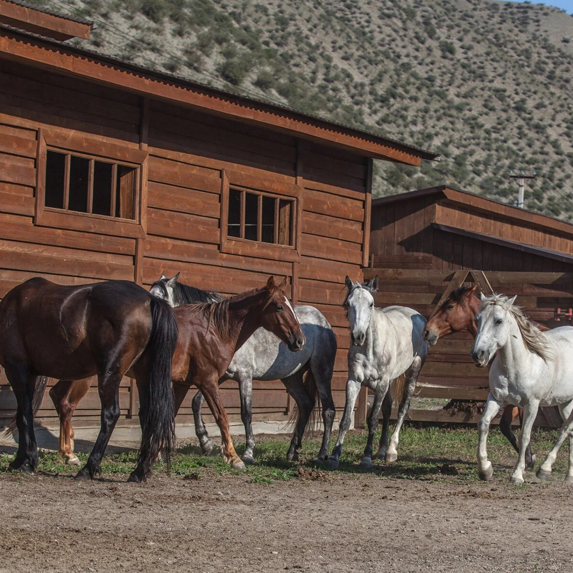 Алтай. Уникальные экспедиции — LUCKY CLAN