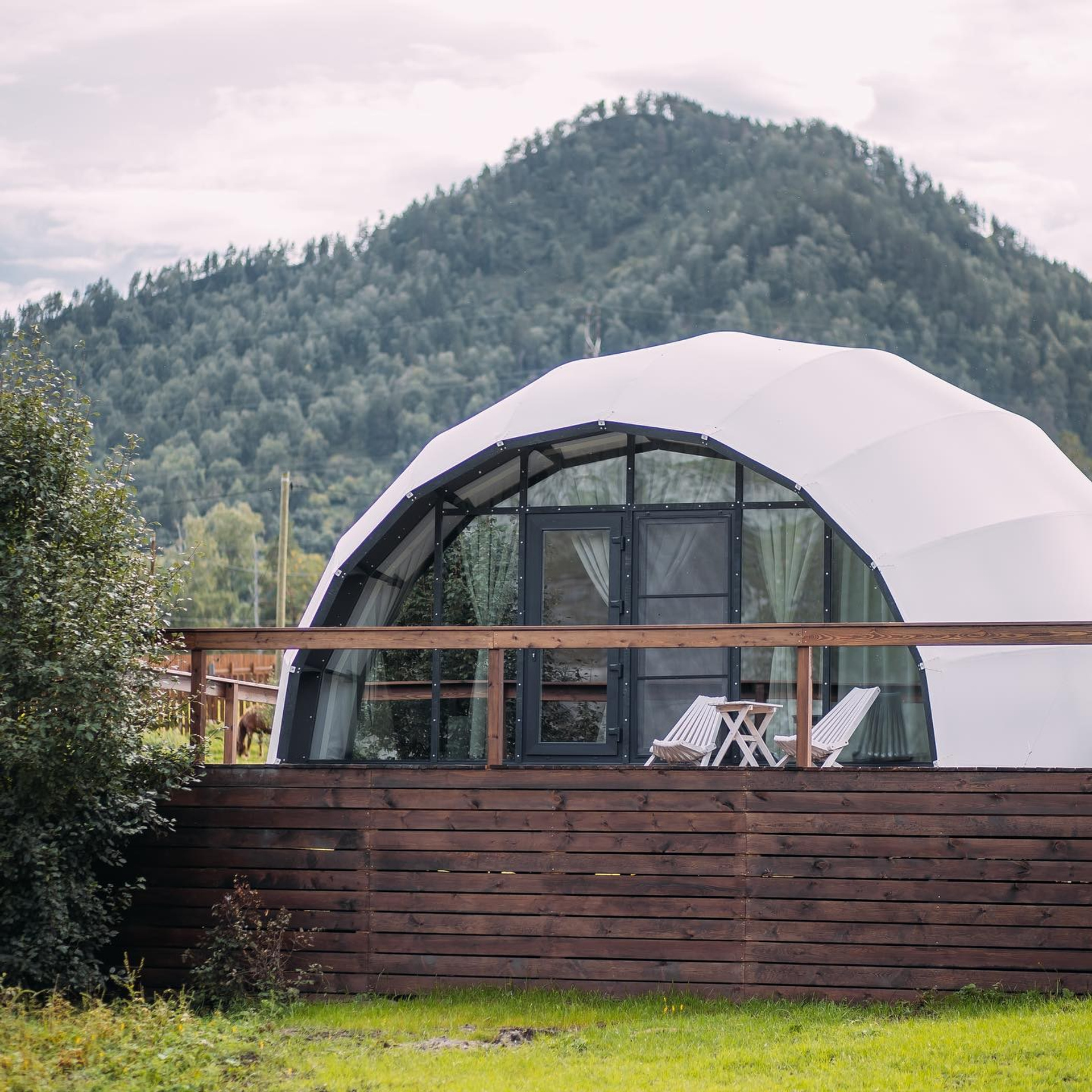 Алтай. Уникальные экспедиции — LUCKY CLAN