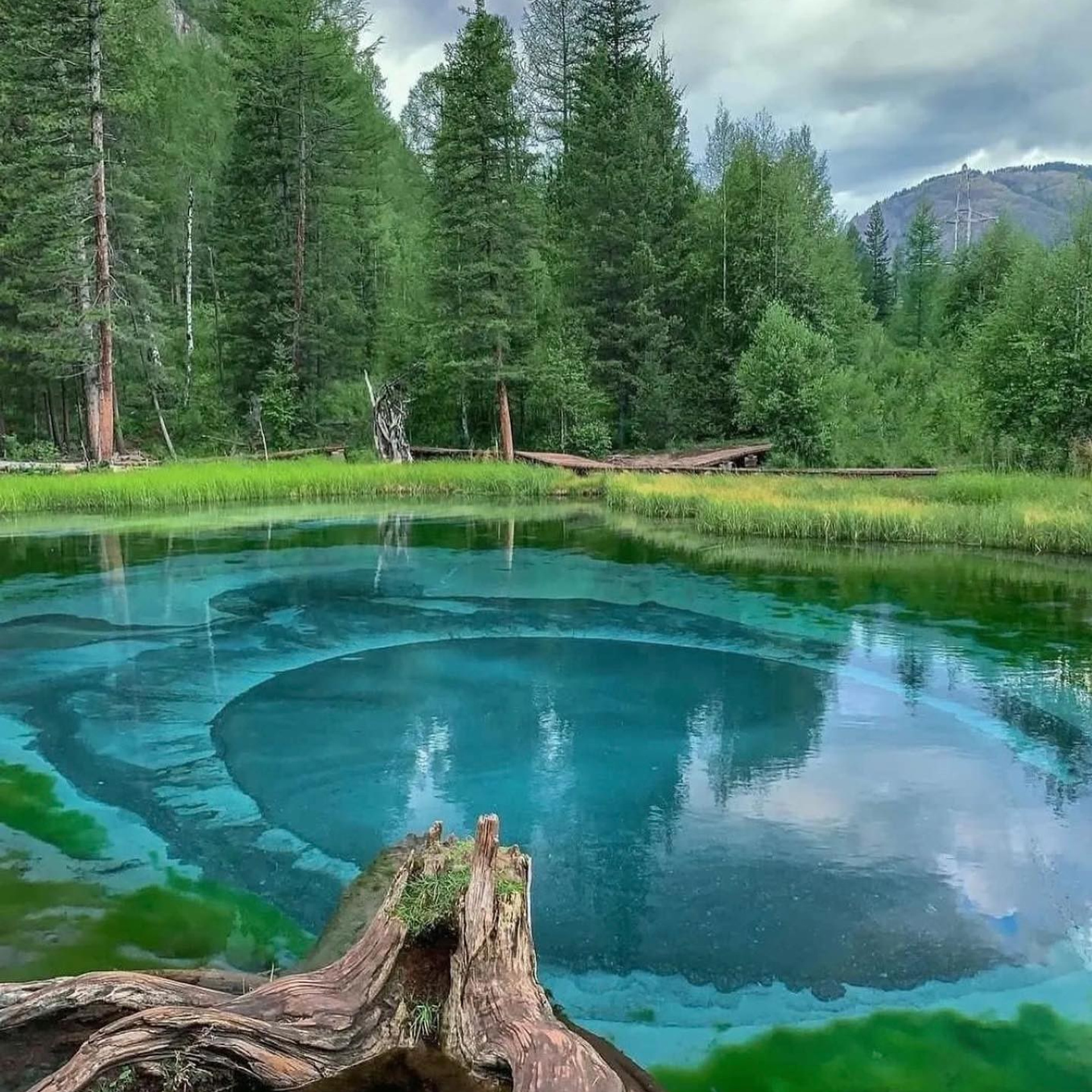 Алтай. Уникальные экспедиции — LUCKY CLAN